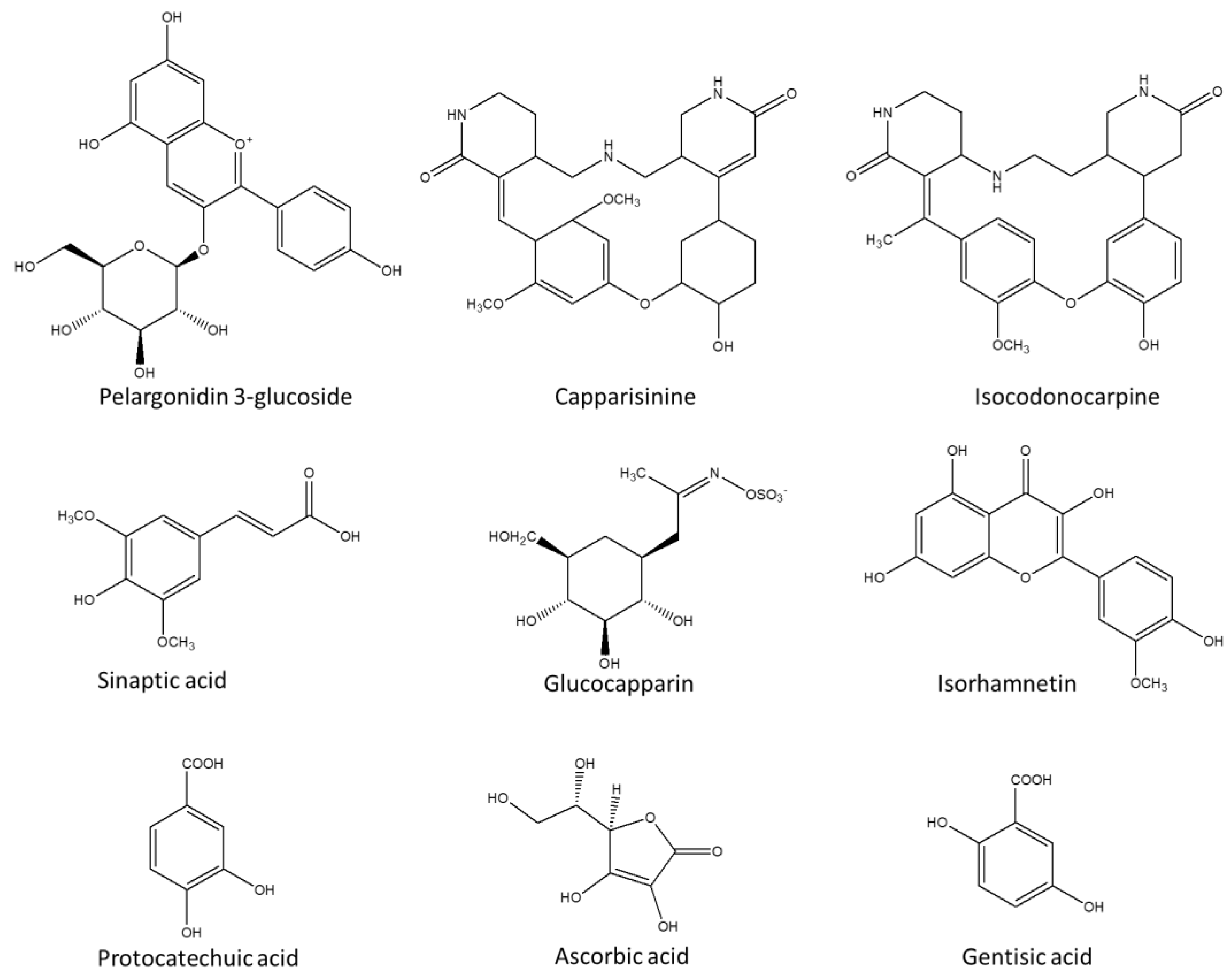 Catalysts | Free Full-Text | Green Synthesis of Flower-Shaped Copper ...