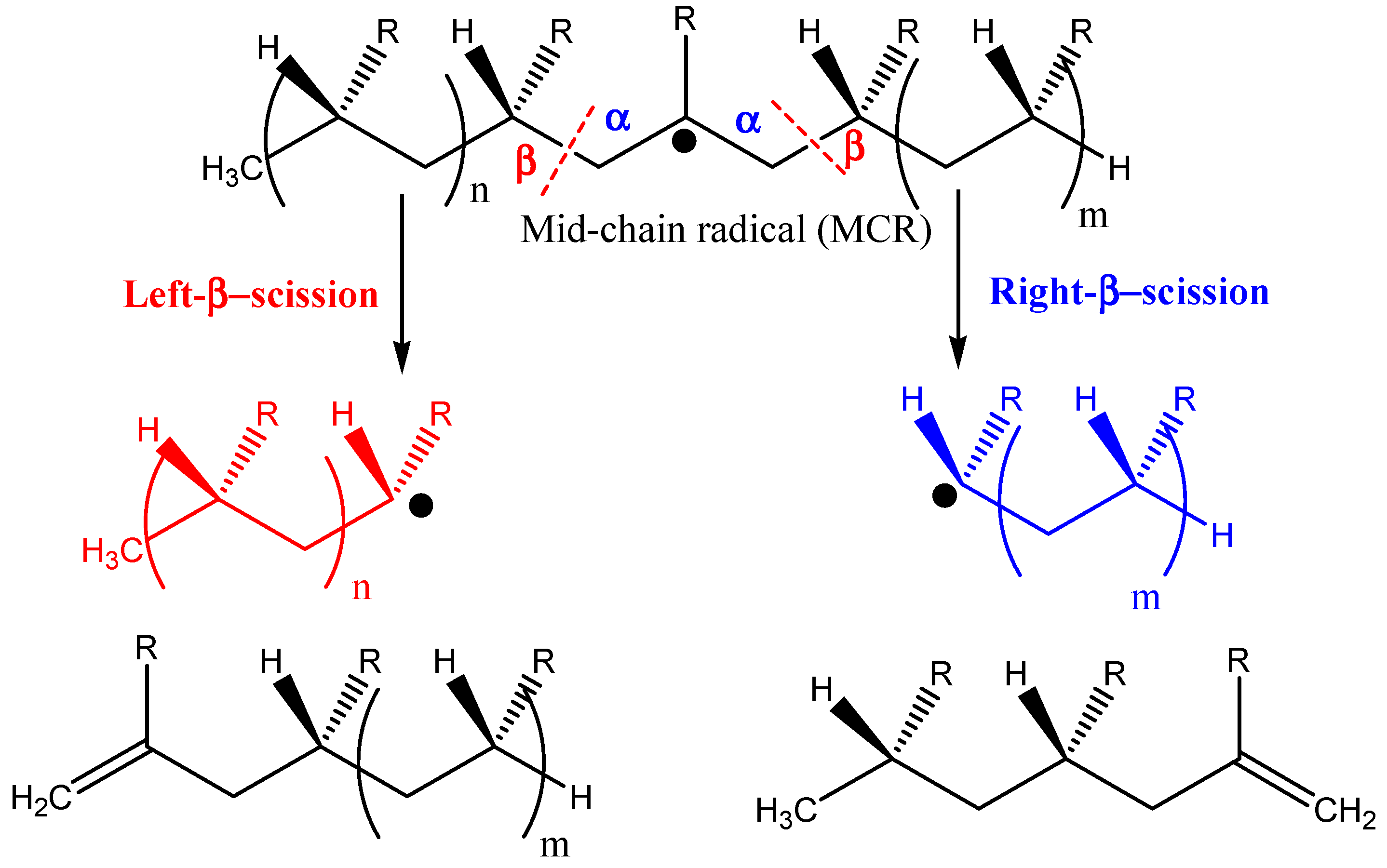 Catalysts 11 00837 g002
