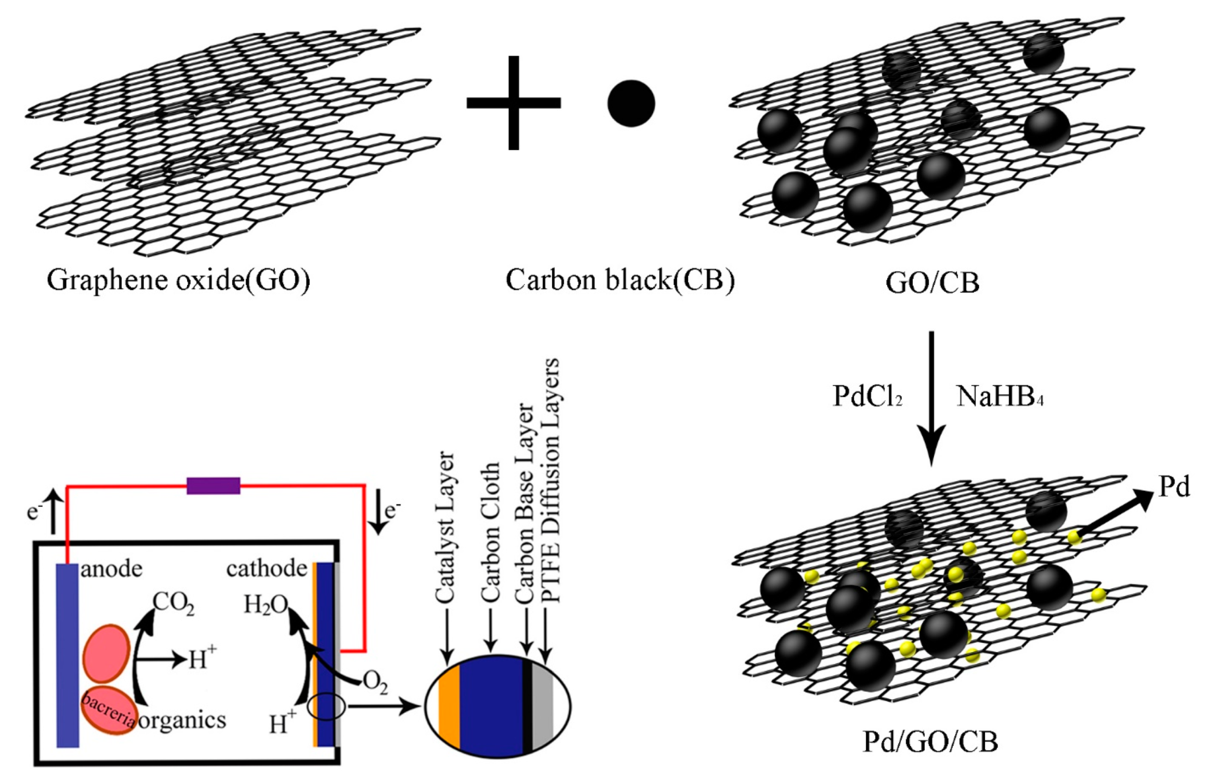 Catalysts 11 00888 g002