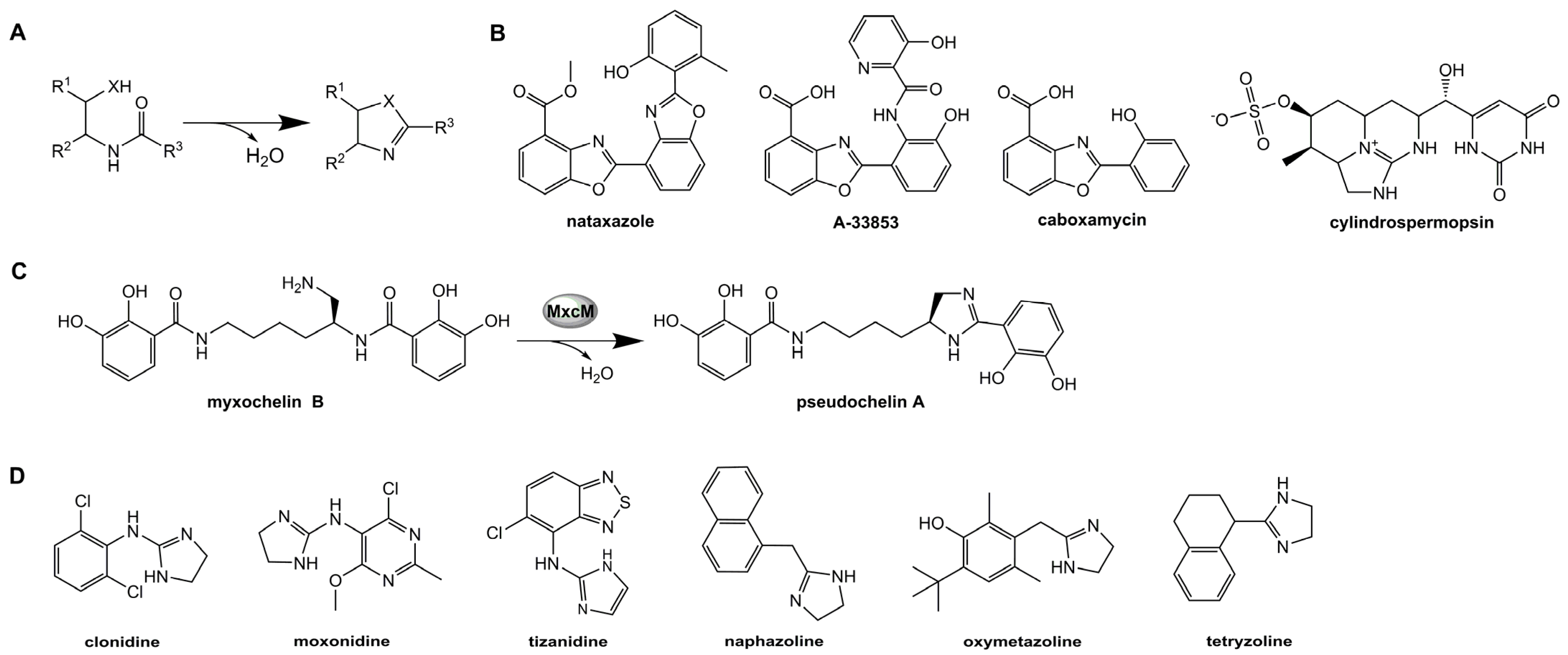 Catalysts 11 00892 g001