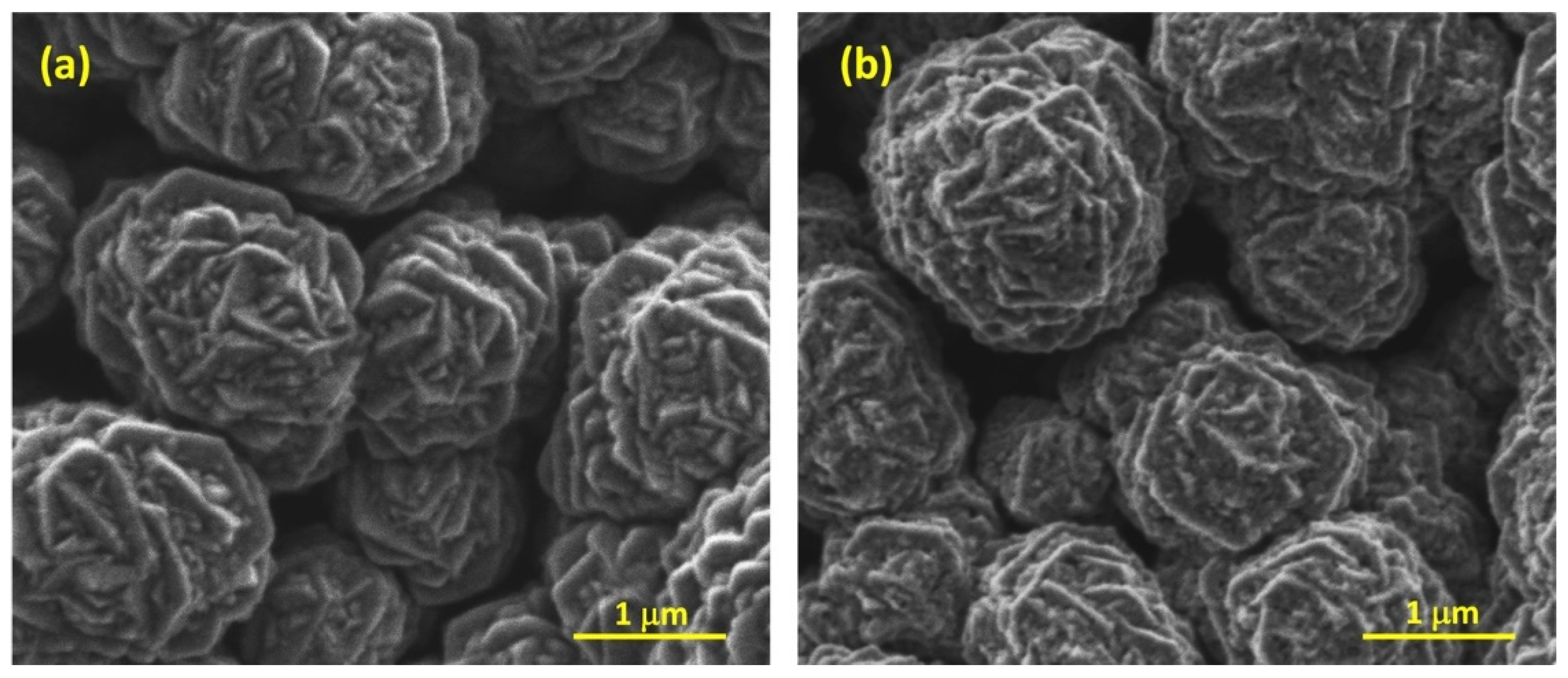 Catalysts 11 00905 g002