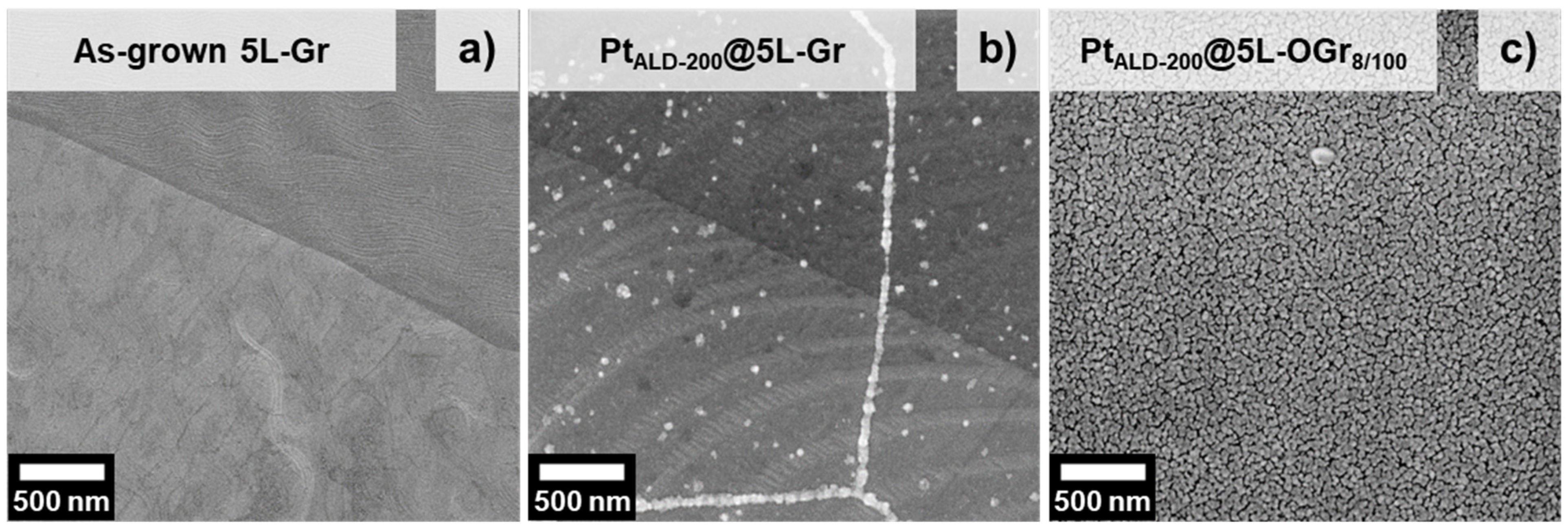 Catalysts 11 00947 g002