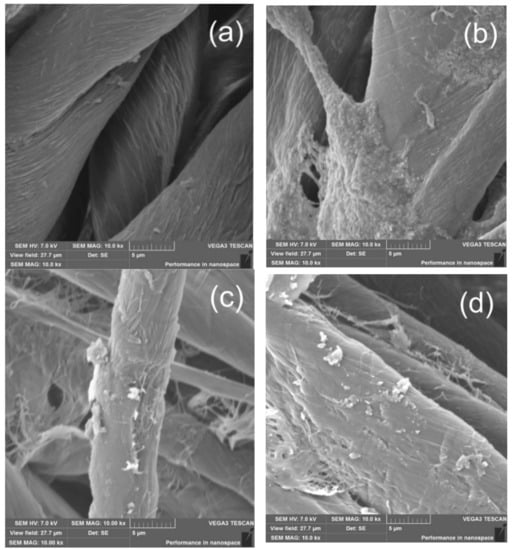 https://www.mdpi.com/catalysts/catalysts-11-00952/article_deploy/html/images/catalysts-11-00952-g001-550.jpg