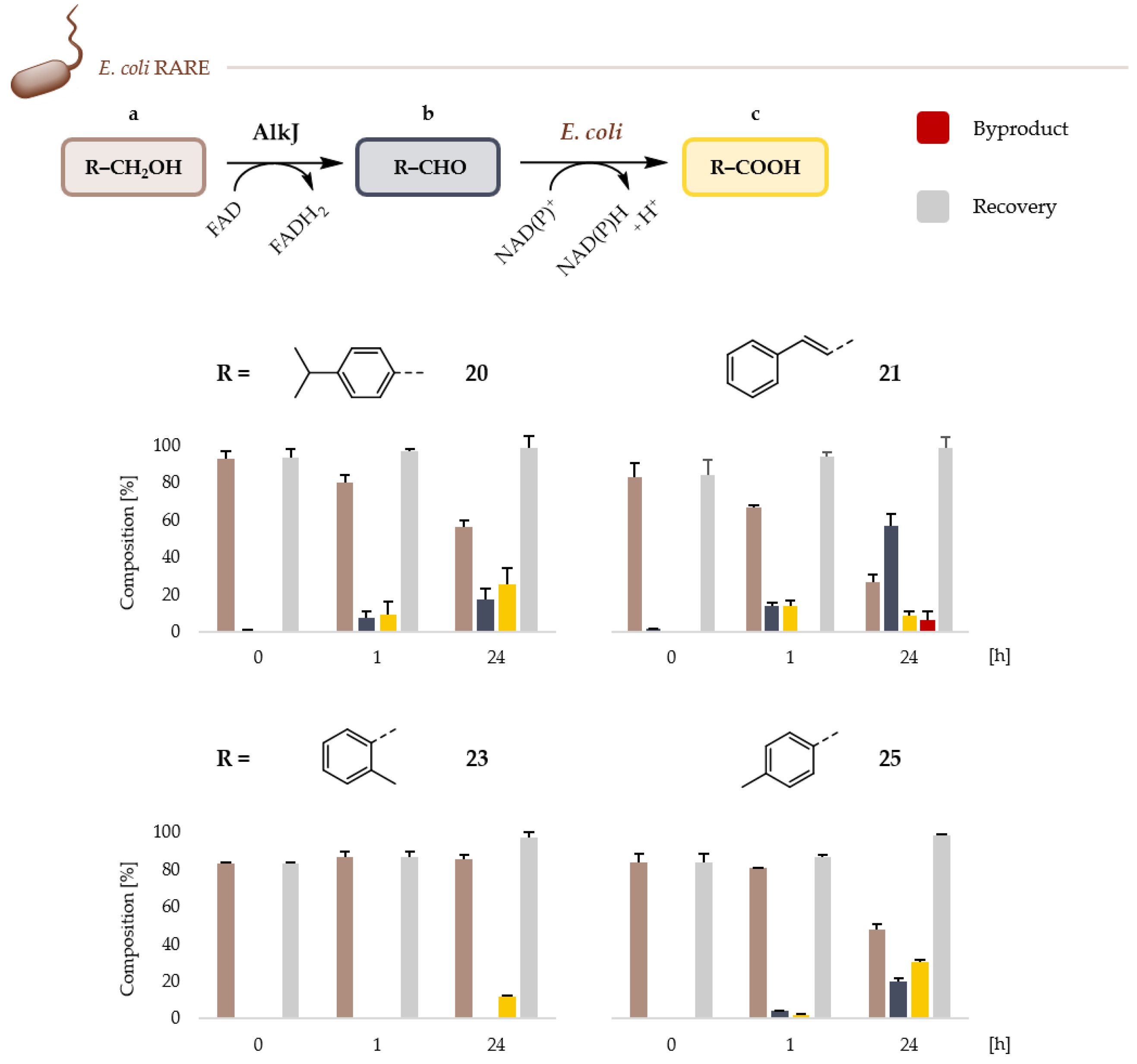 Catalysts 11 00953 g004