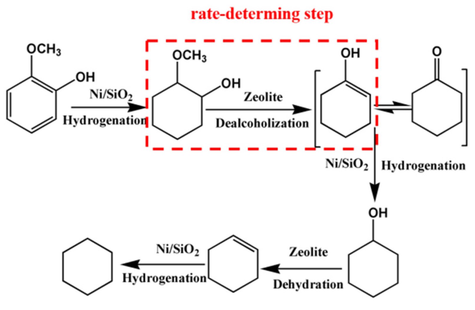 Catalysts 11 00962 g009