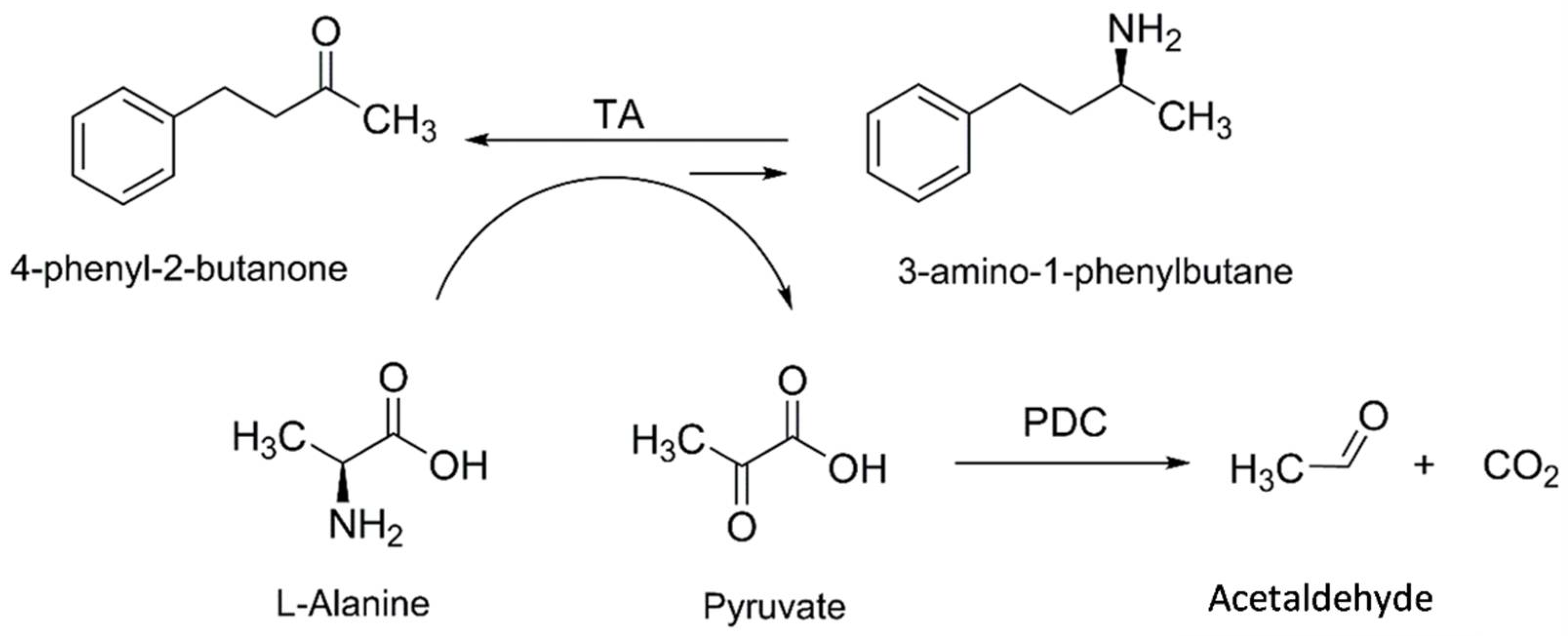 Catalysts 11 00973 g001