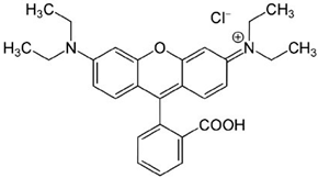 Catalysts 11 00974 i001