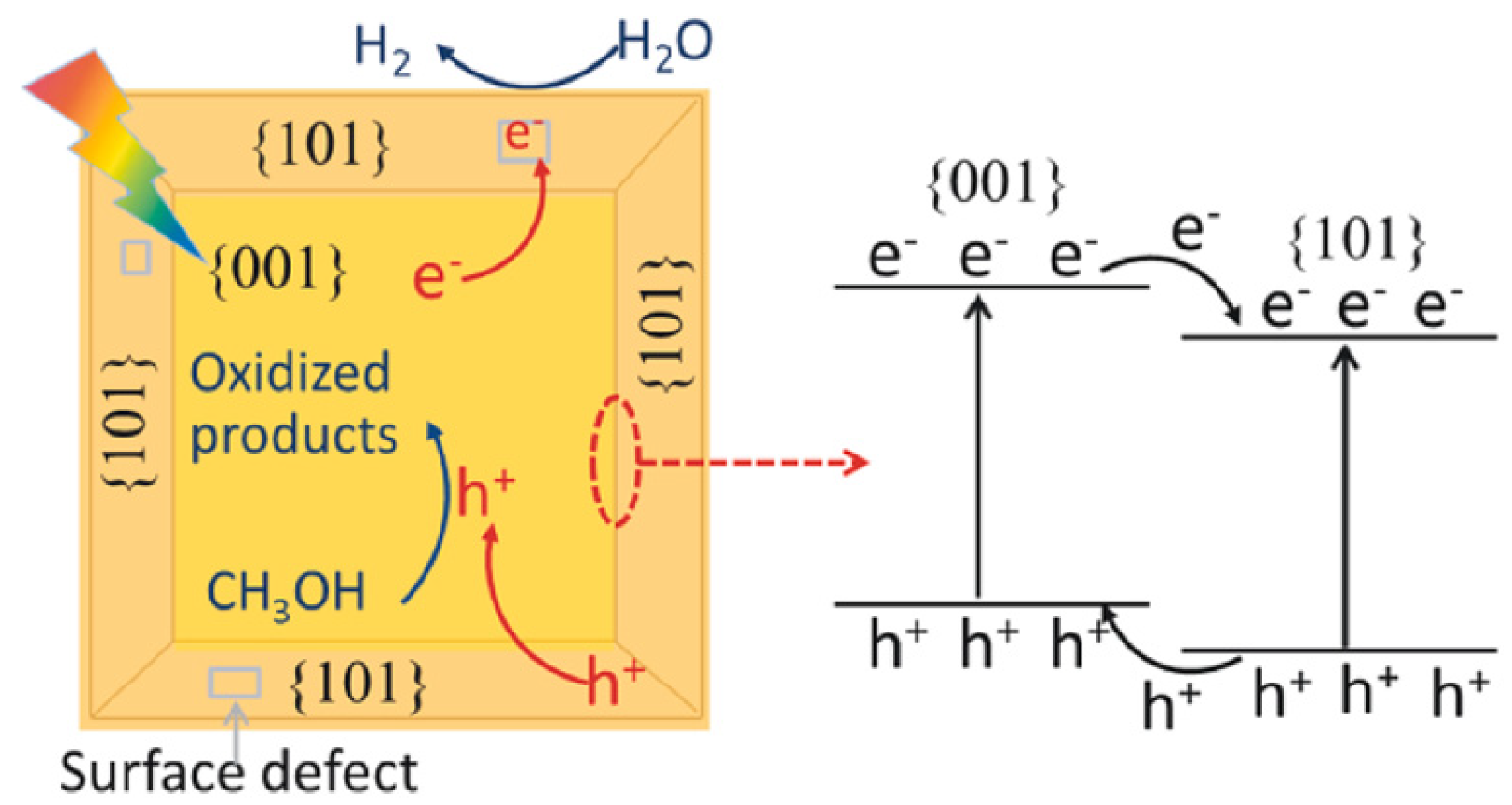 Catalysts 11 00978 g012