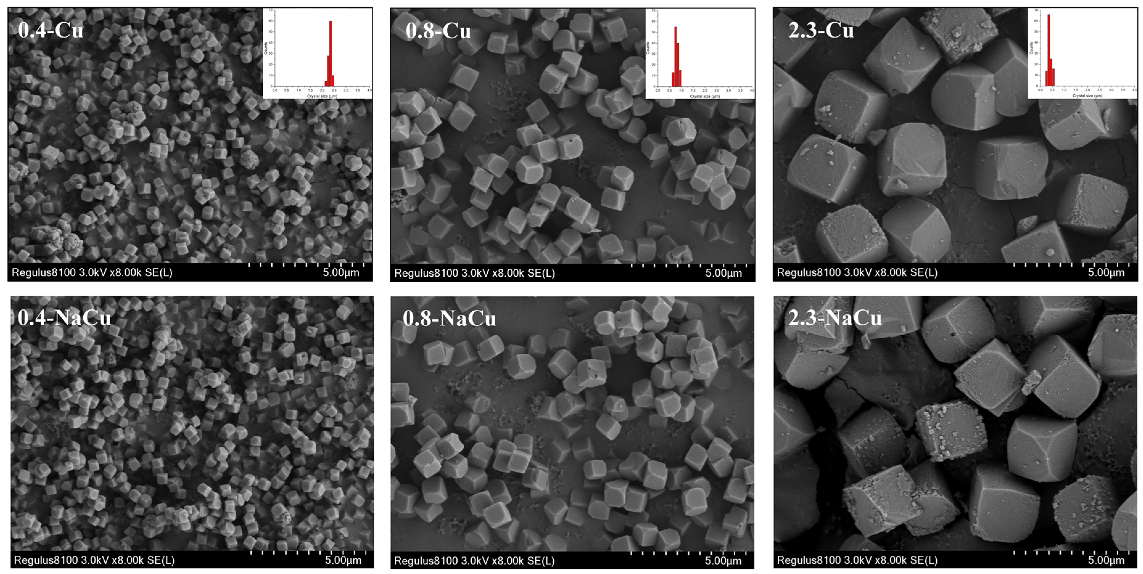 Catalysts 11 00979 g001