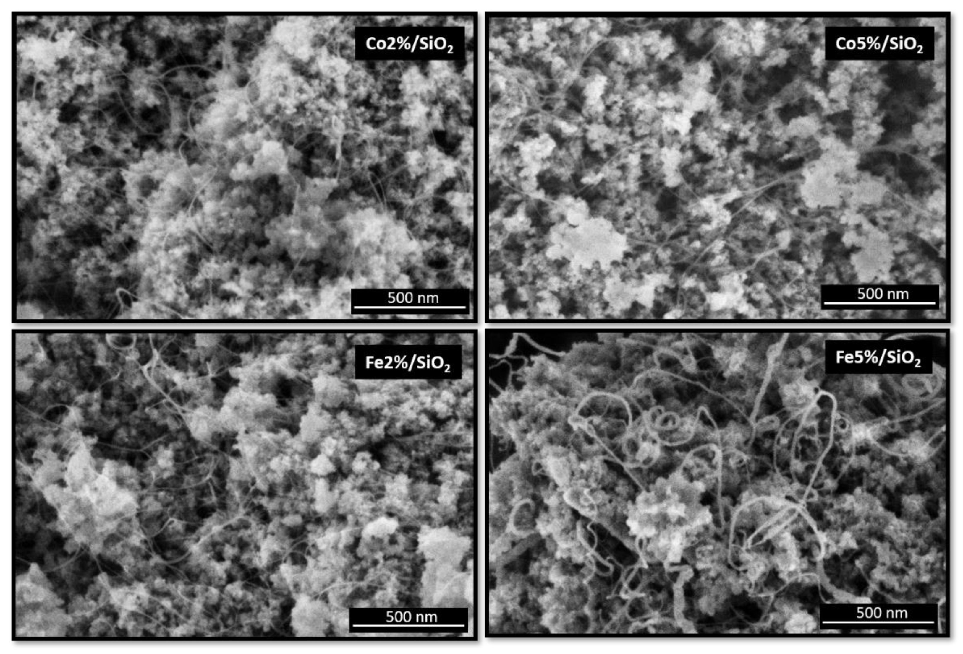 Catalysts 11 00986 g005