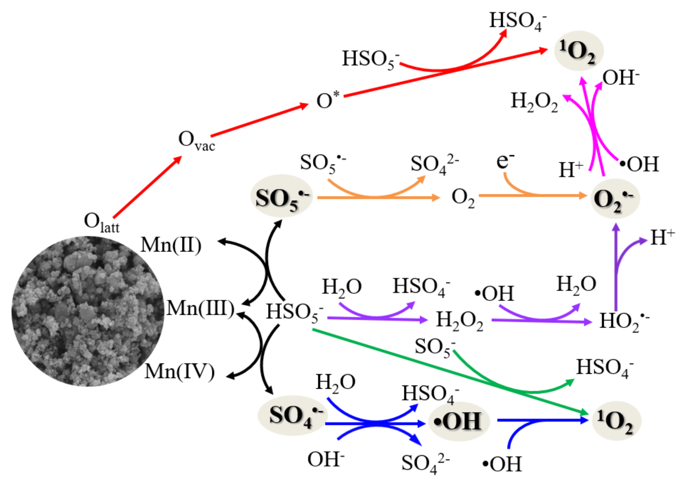 Catalysts 11 00993 g008