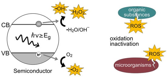 Catalysts Free Full Text Accelerating The Design Of Photocatalytic Surfaces For Antimicrobial Application Machine Learning Based On A Sparse Dataset Html