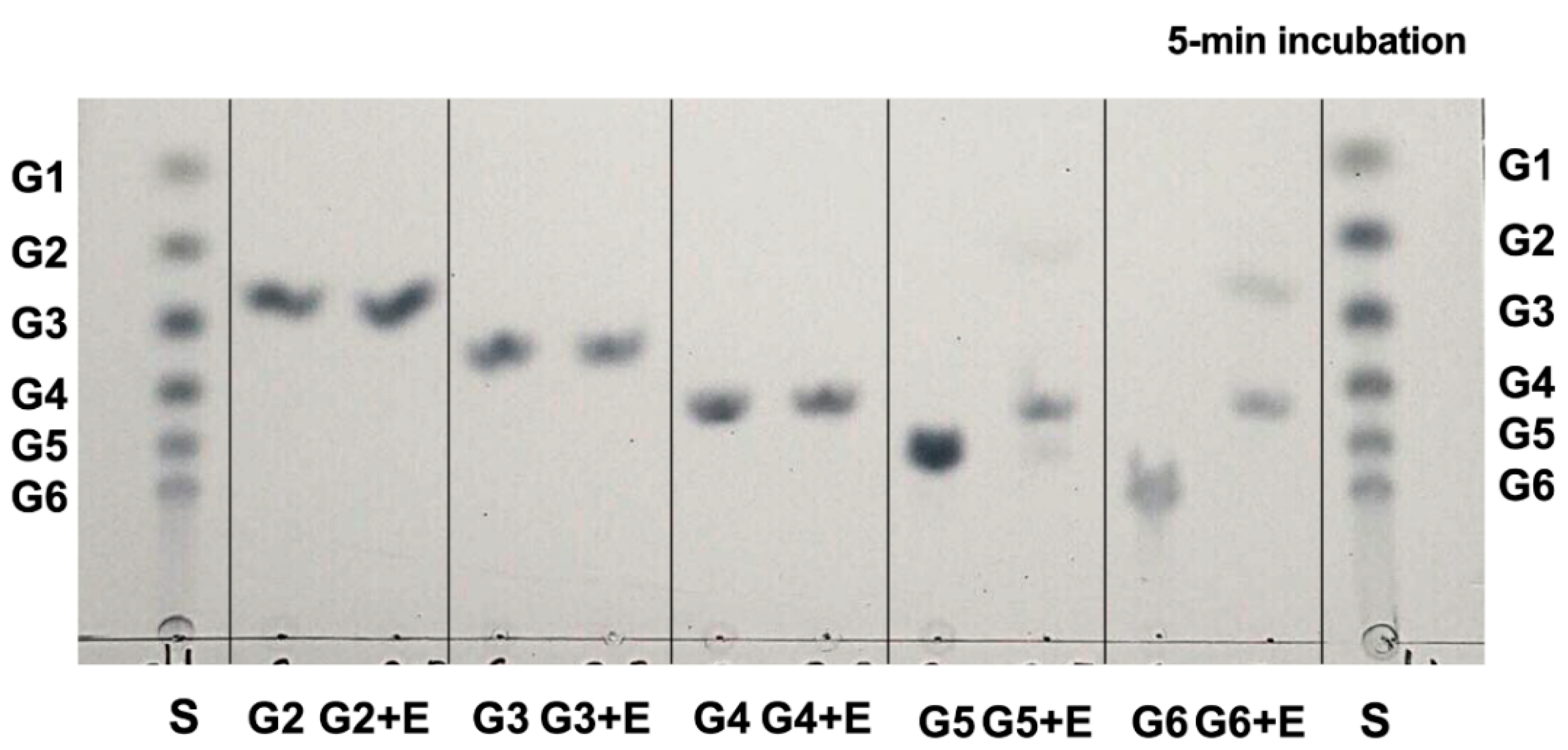 Catalysts 11 01011 g005 Catalysts 11 01011 g005