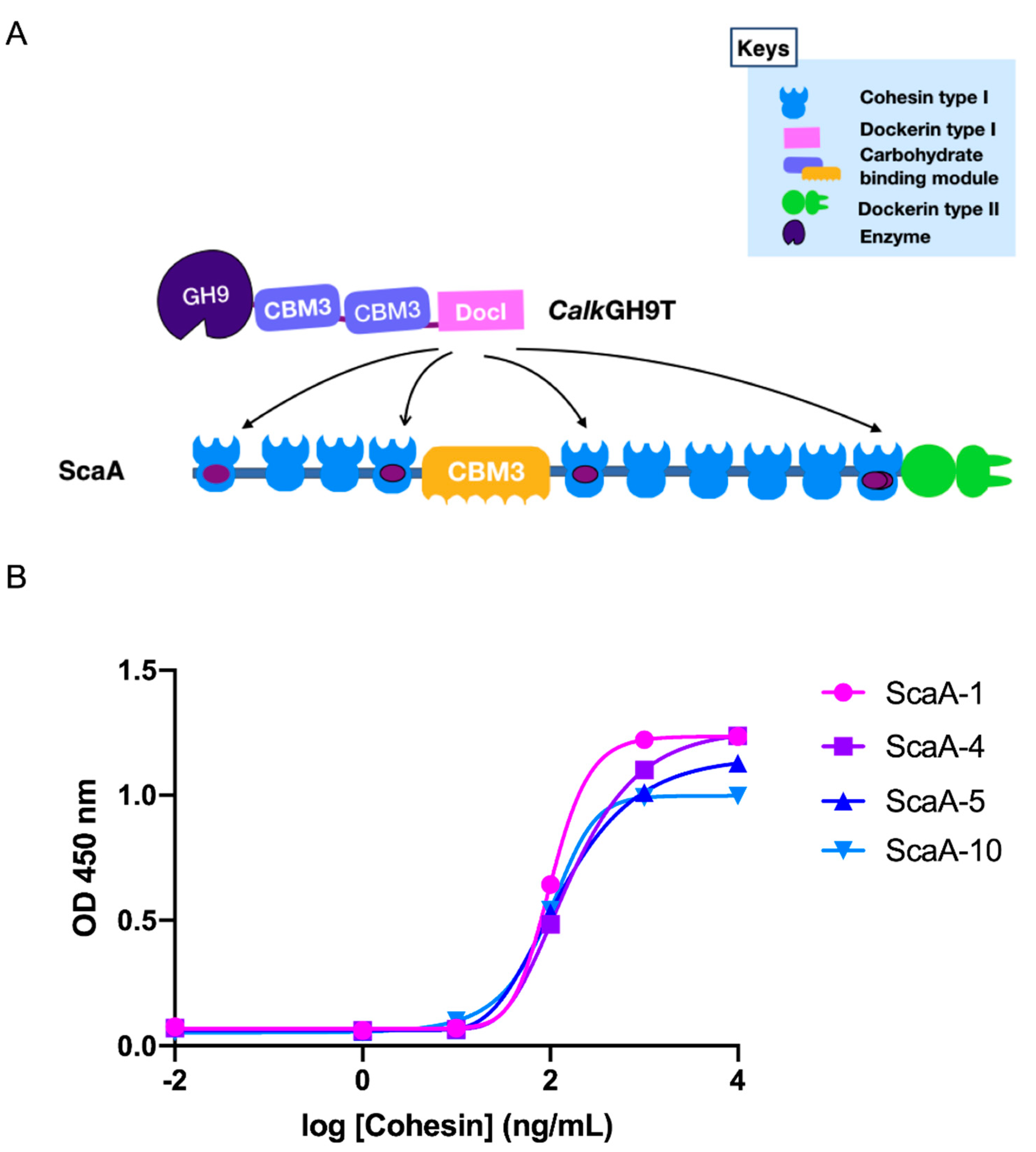 Catalysts 11 01011 g006 Catalysts 11 01011 g006