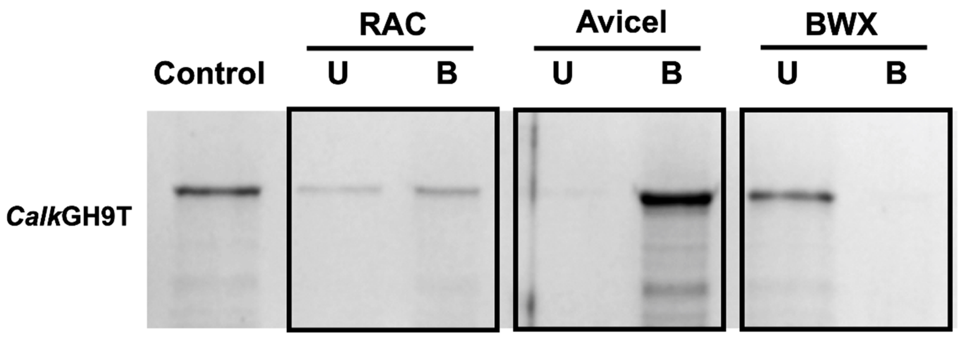 Catalysts 11 01011 g007 Catalysts 11 01011 g007
