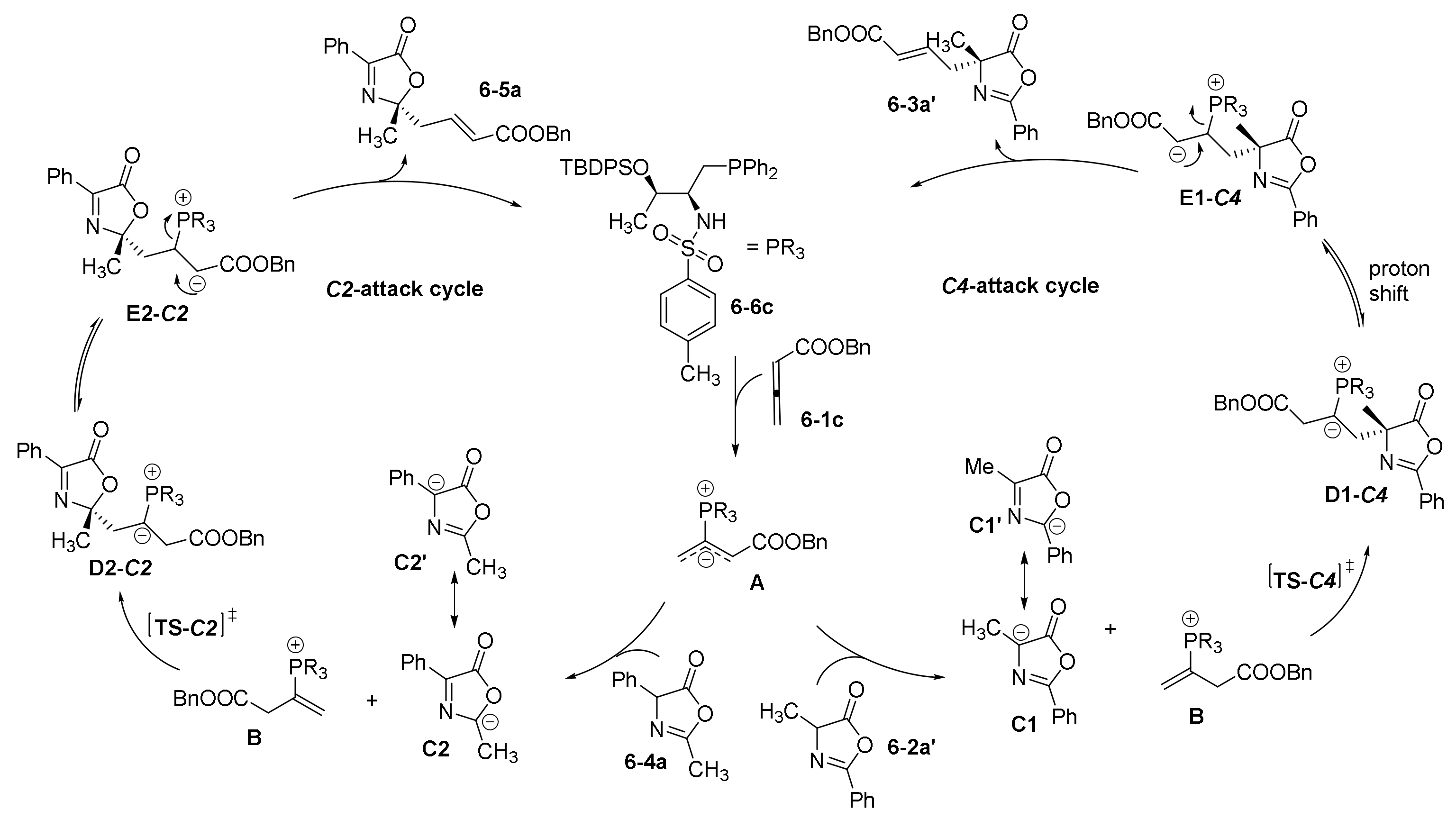 Catalysts 11 01013 sch013
