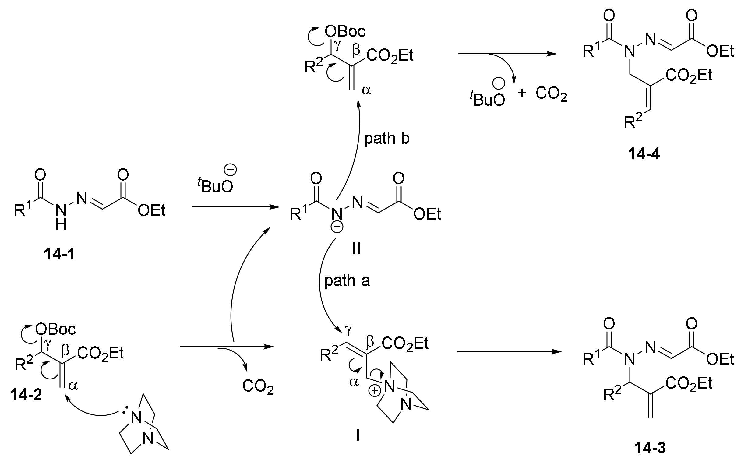 Catalysts 11 01013 sch028