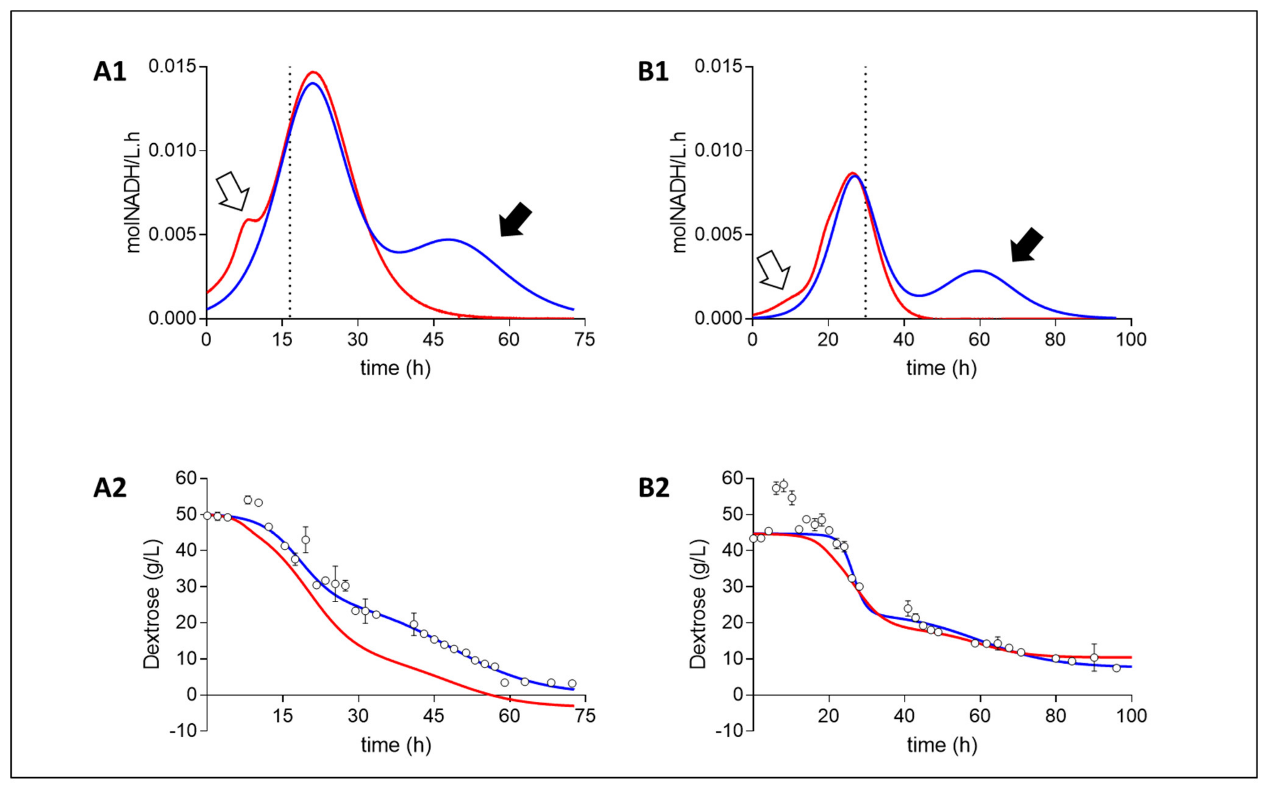 Catalysts 11 01016 g002 Catalysts 11 01016 g002