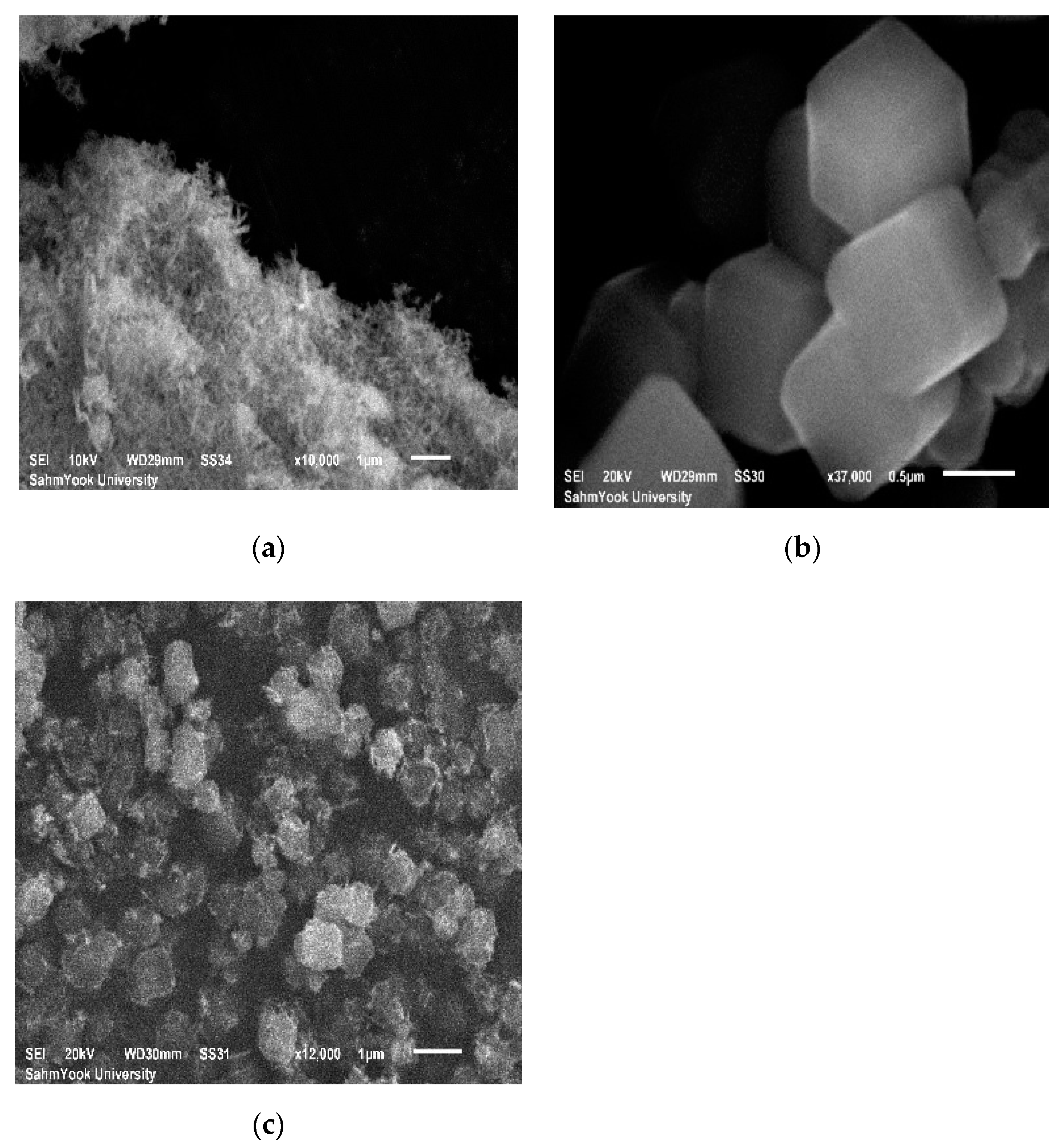 Catalysts 11 01022 g003