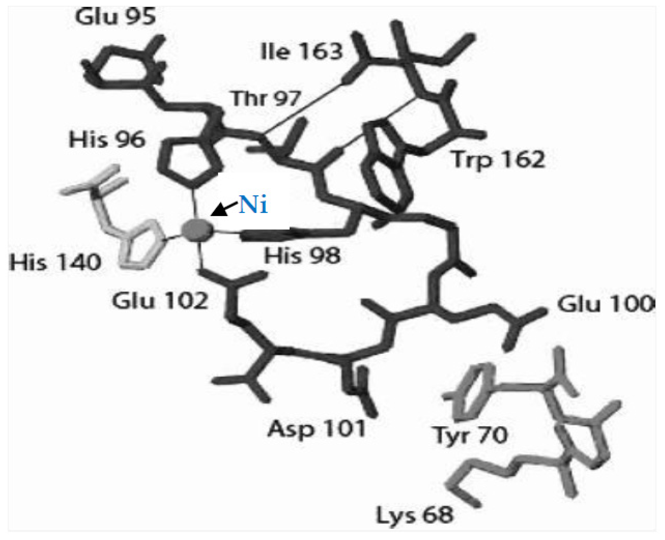 Catalysts 11 01032 sch001