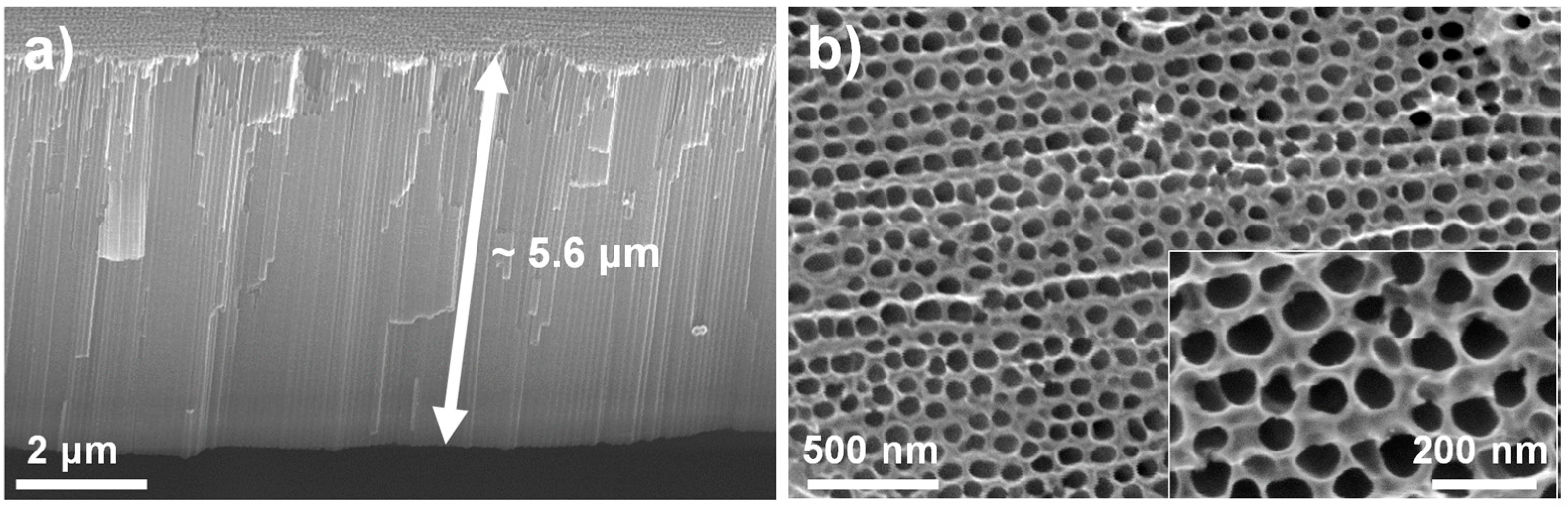 Catalysts 11 01048 g003