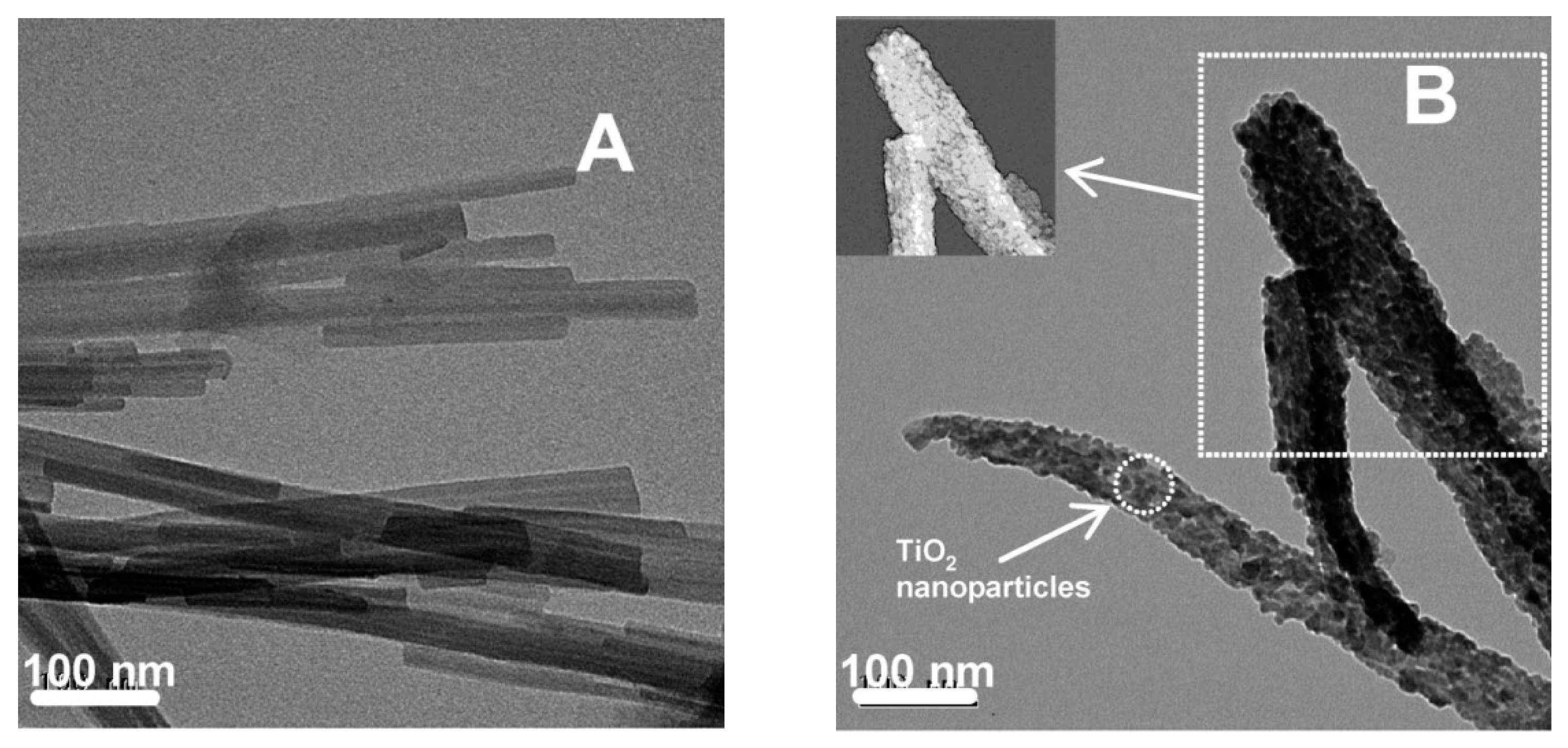 Catalysts 11 01087 g013