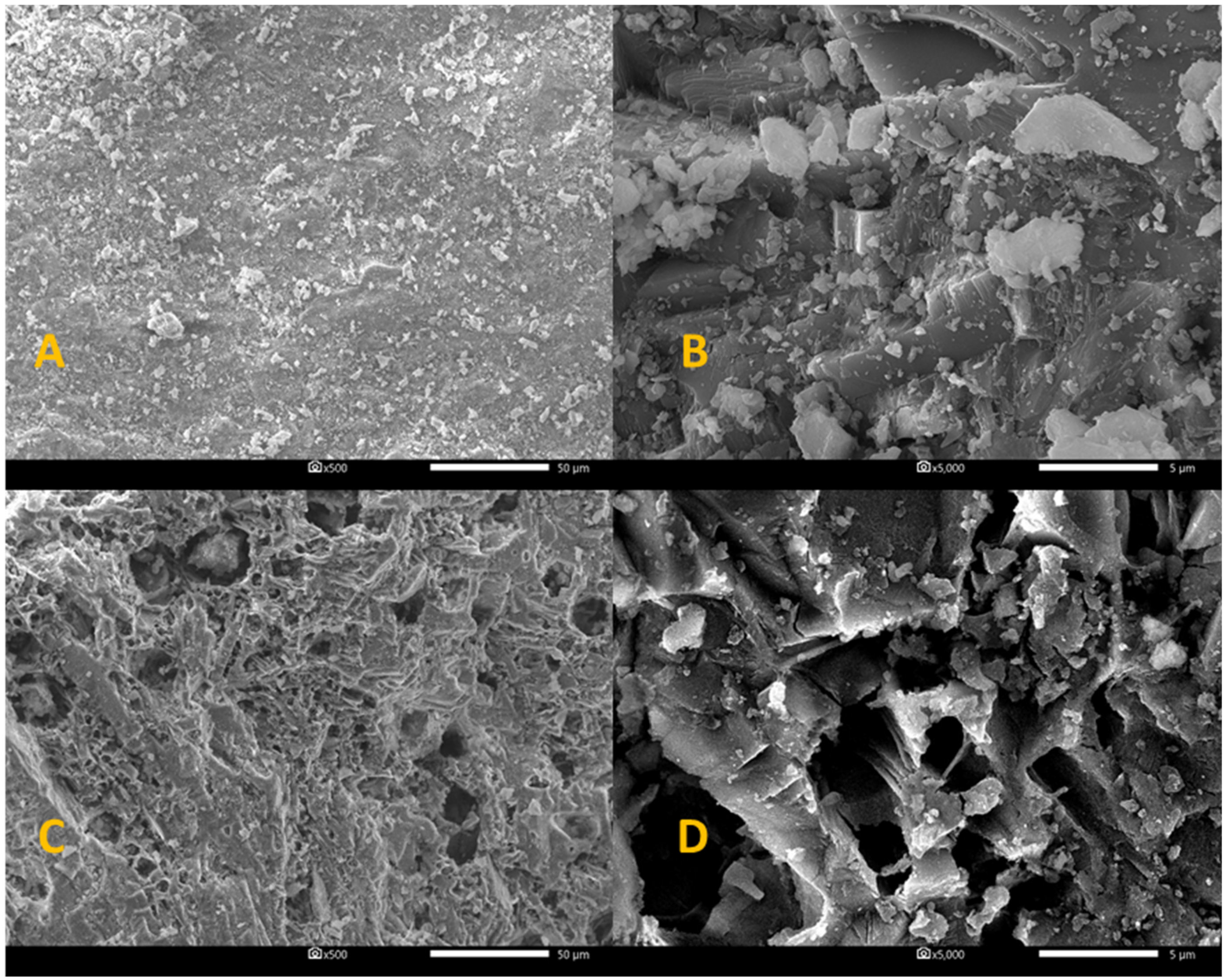 Catalysts 11 01101 g005