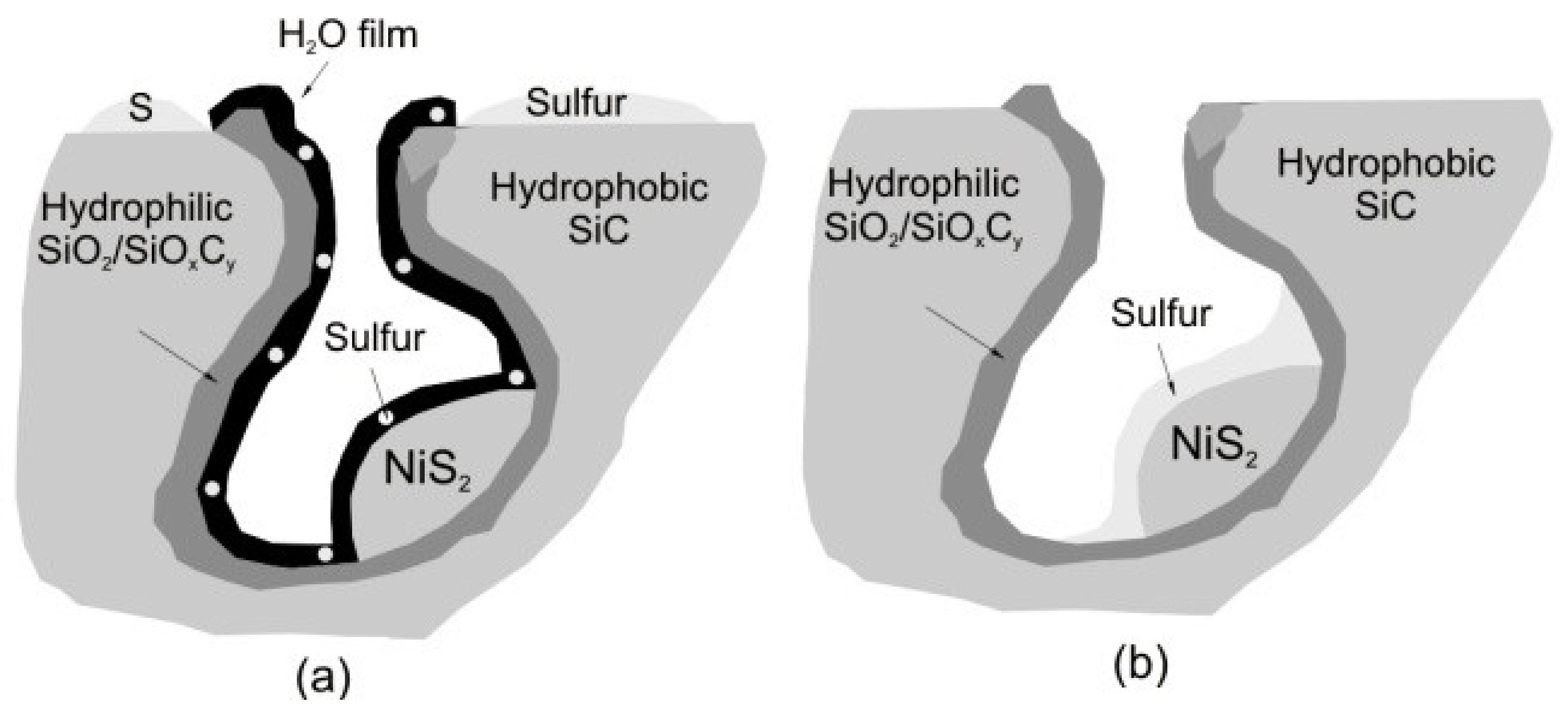 Catalysts 11 01109 g006