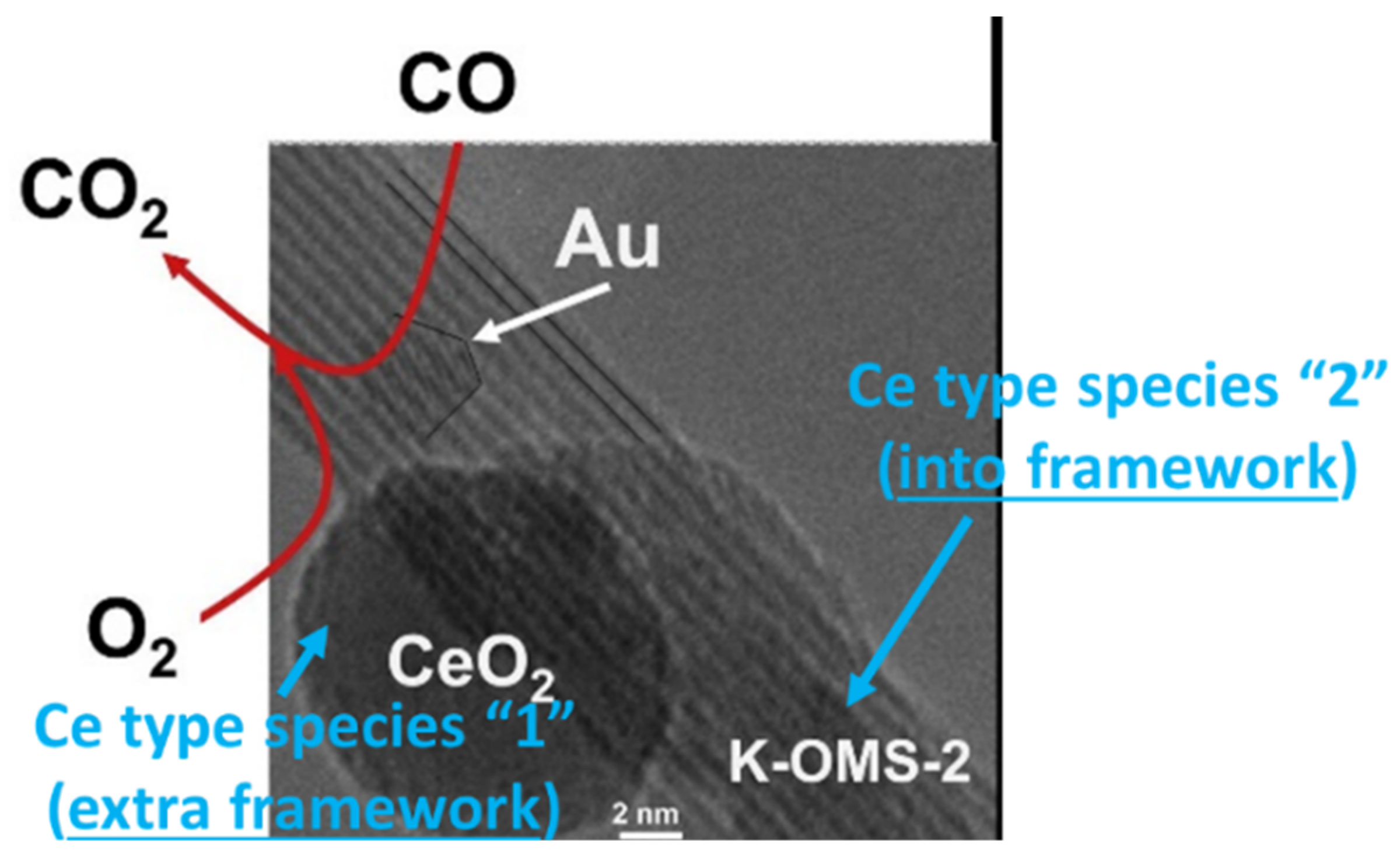 Catalysts 11 01147 g010