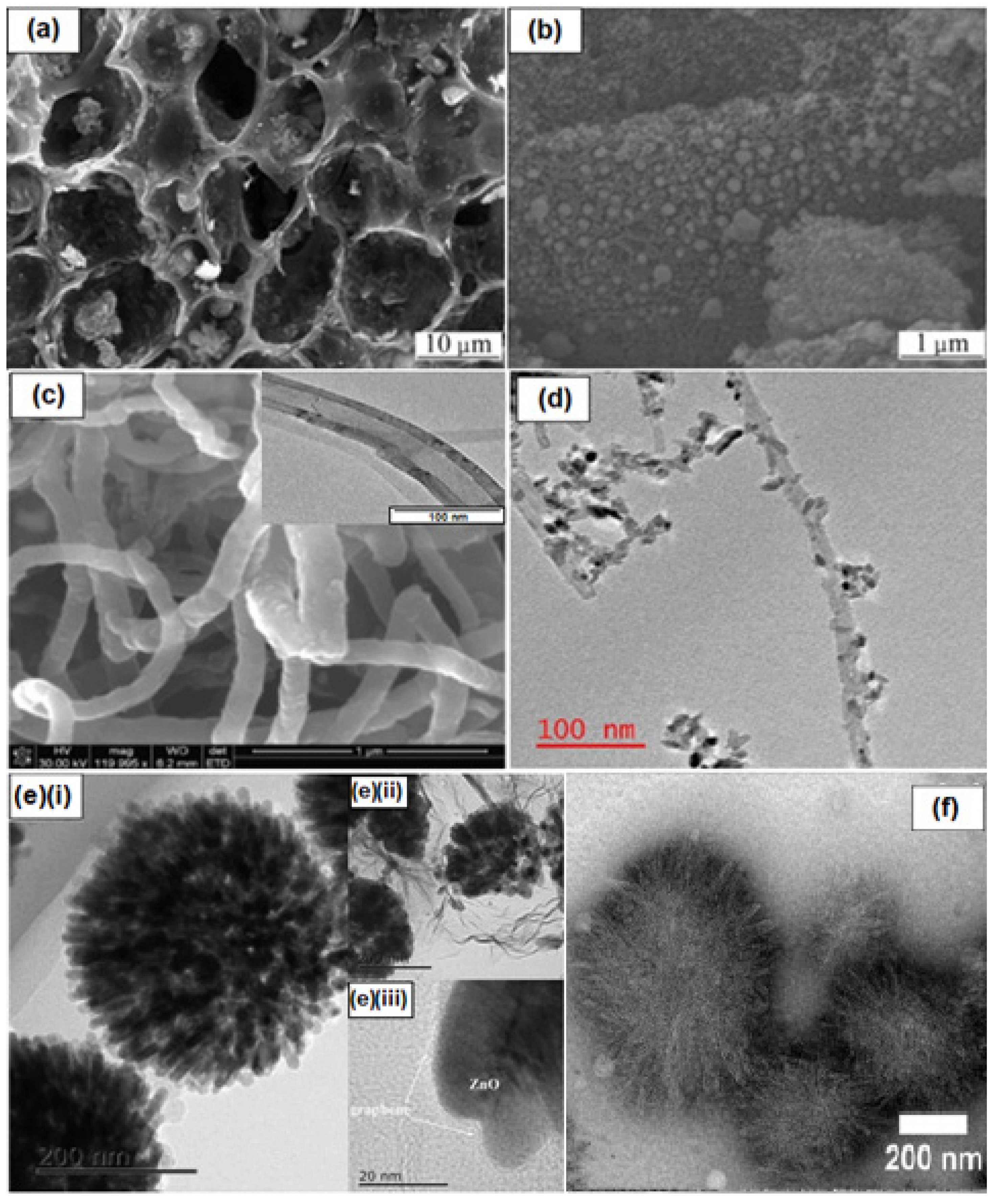 Catalysts 11 01160 g005