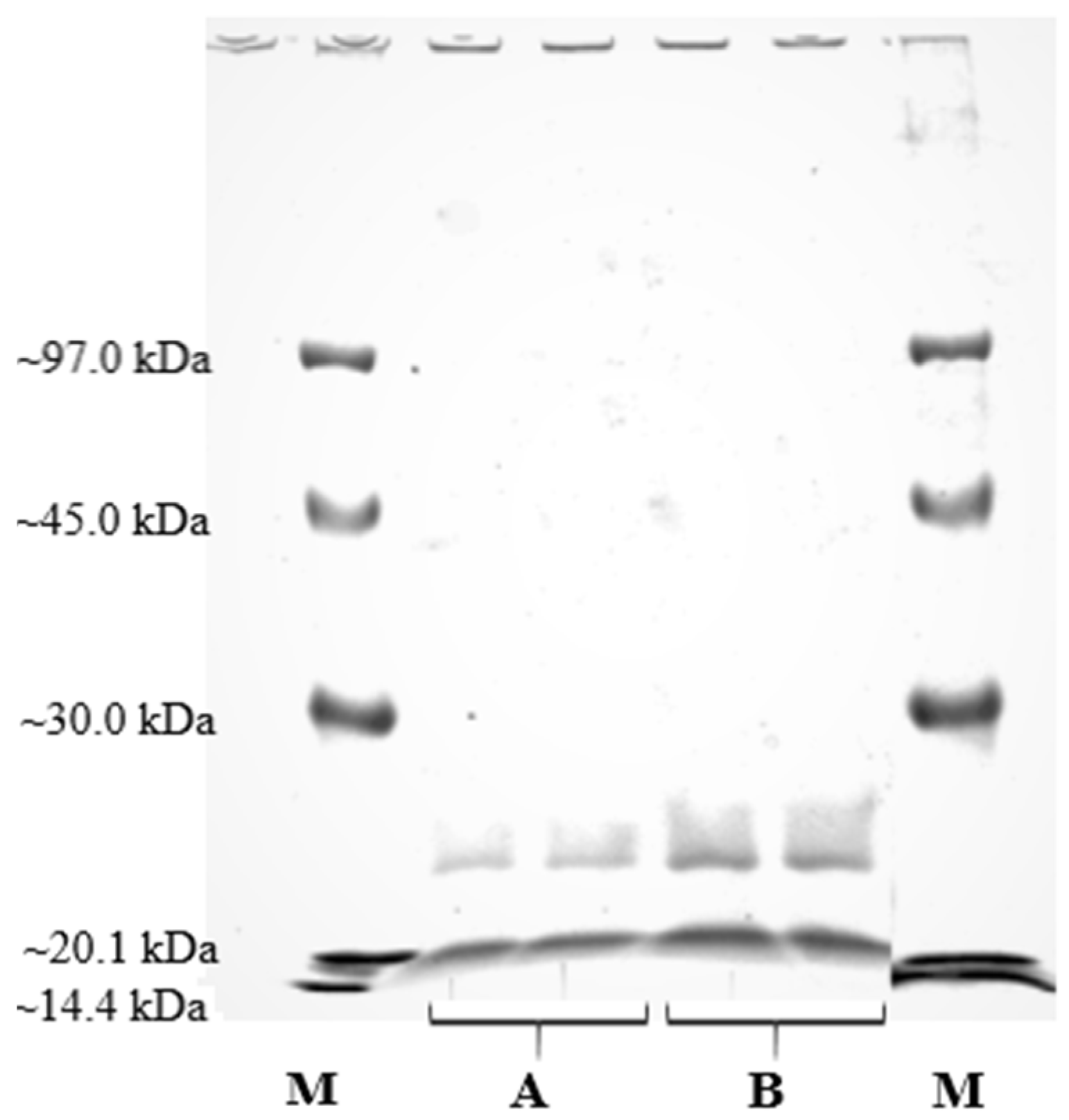 Catalysts 11 01173 g003