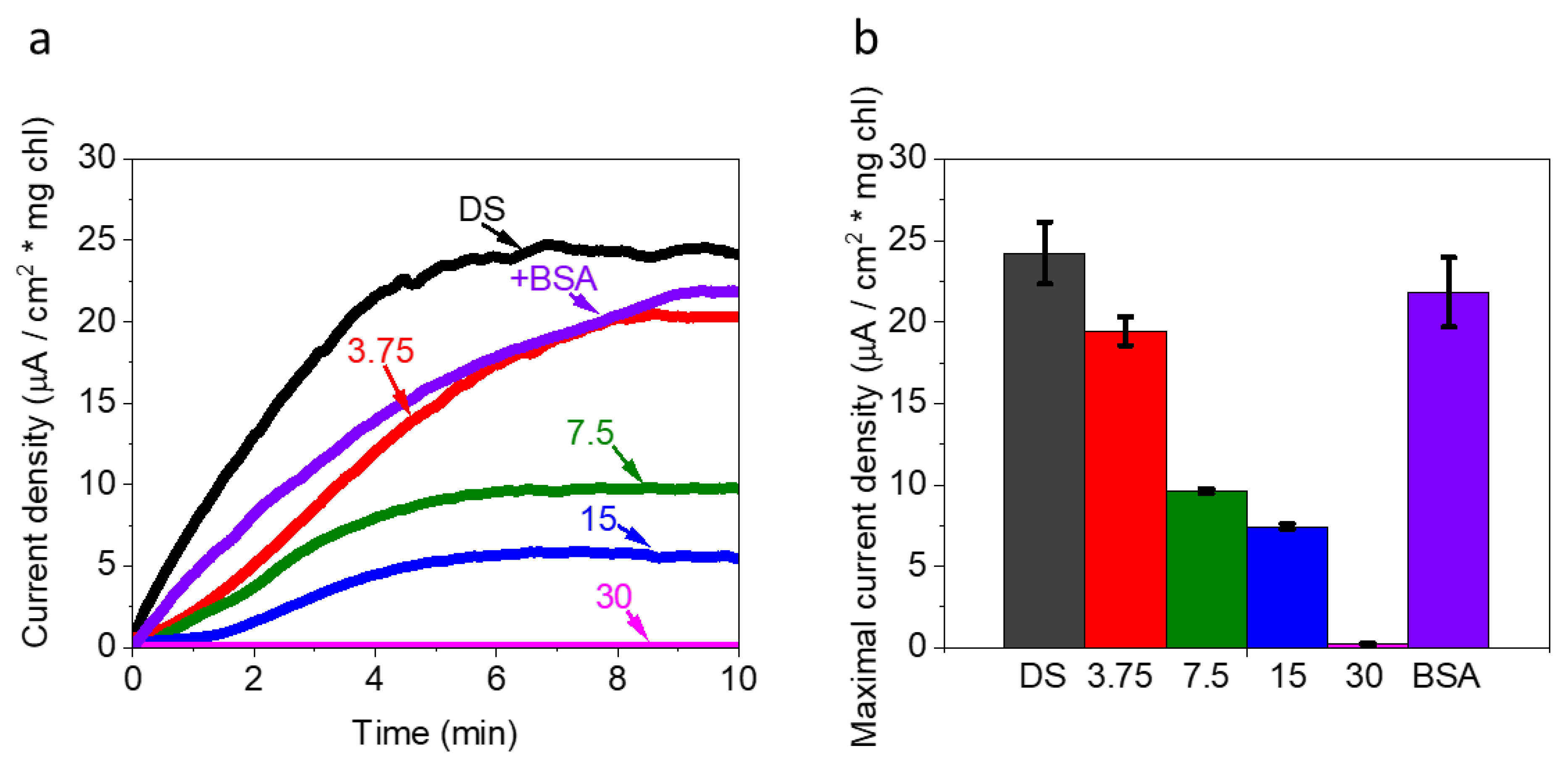Catalysts 11 01220 g003