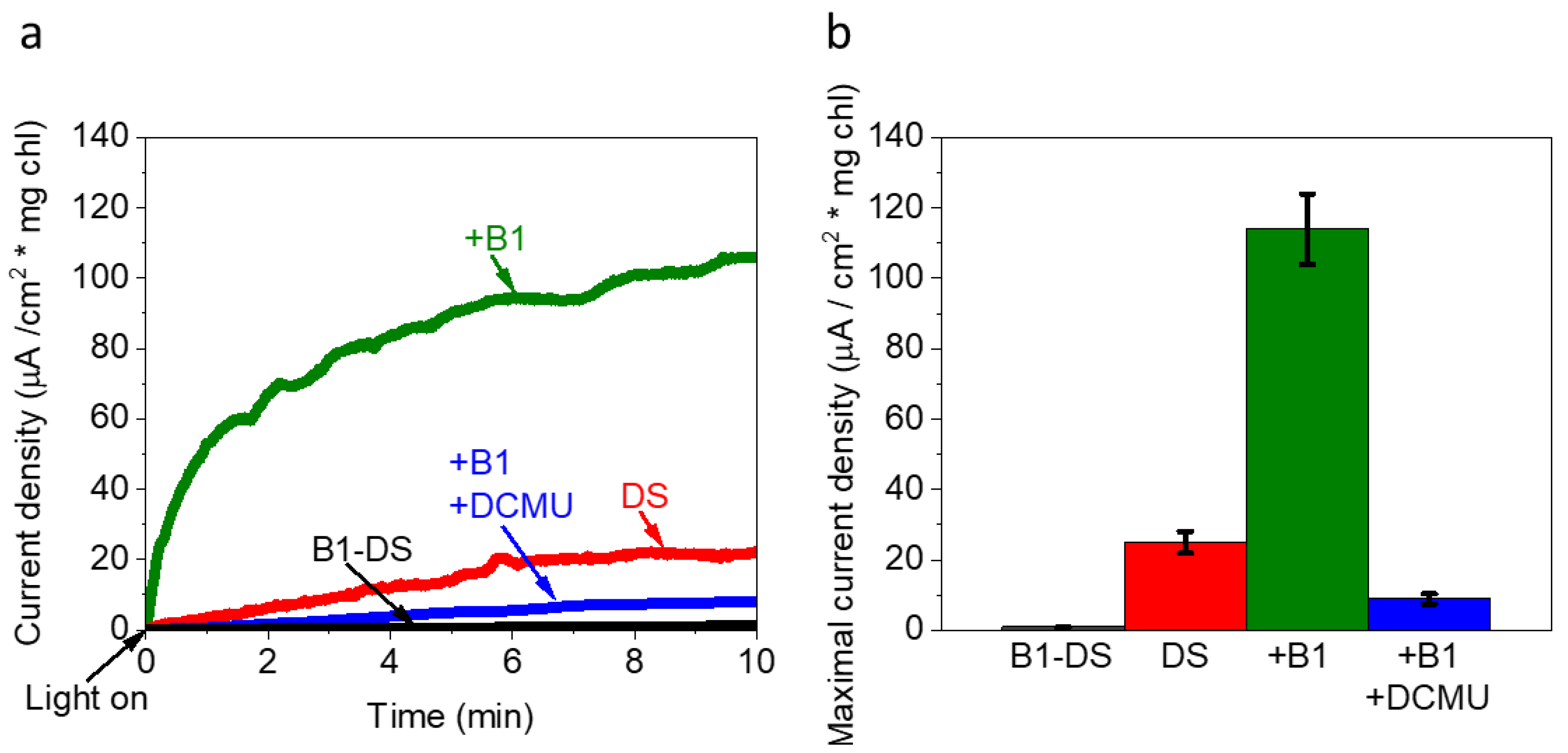 Catalysts 11 01220 g005