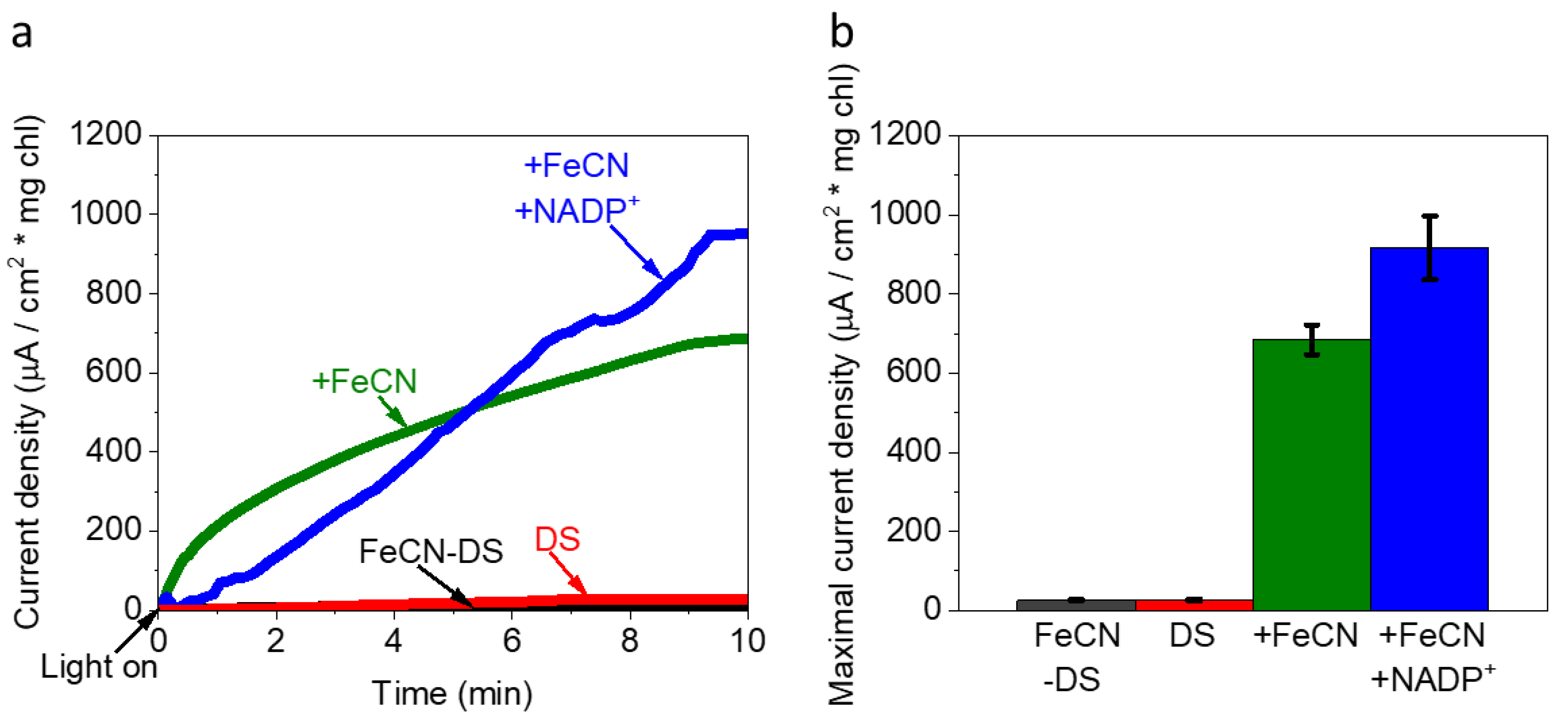 Catalysts 11 01220 g006