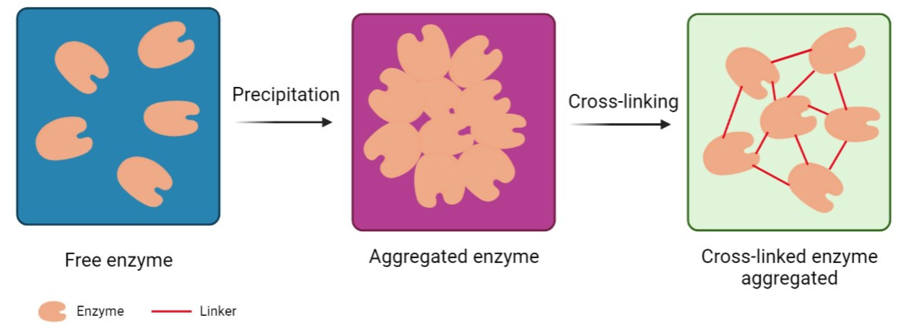 FS 001, What Is An Emulsion? A Cook's Guide.