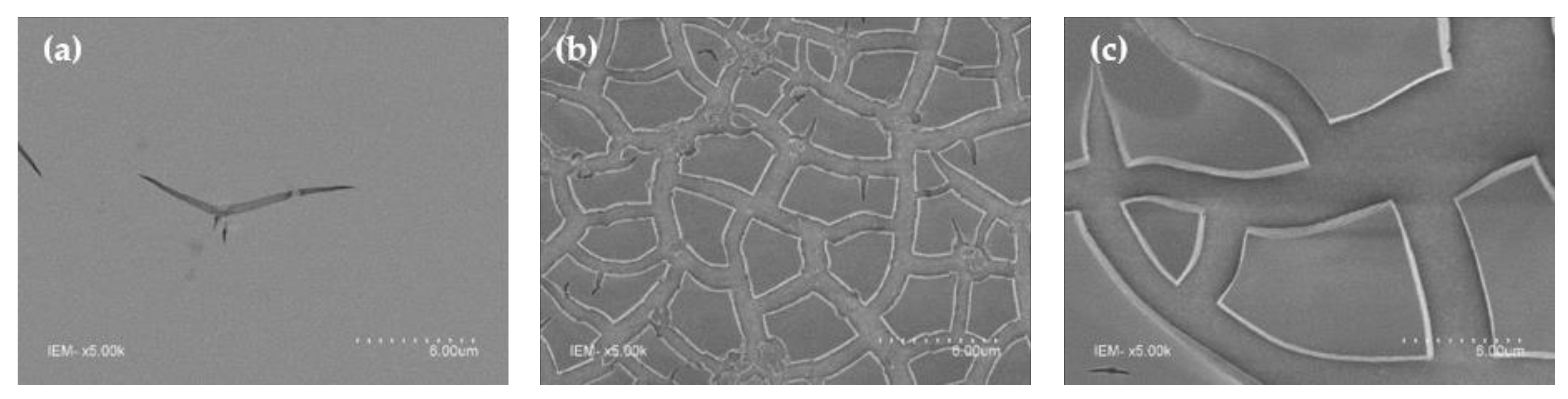 Catalysts 11 01228 g006