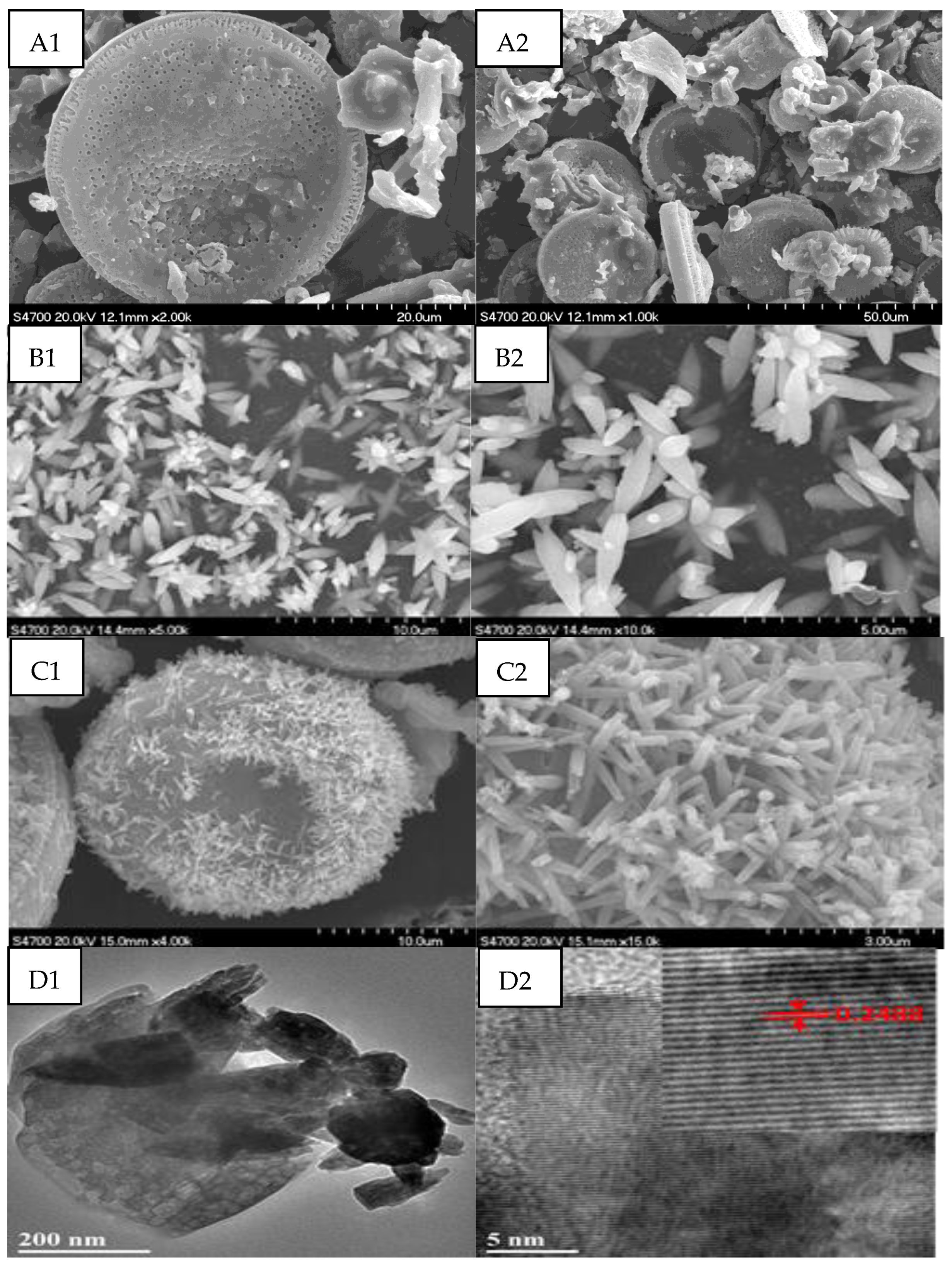 Catalysts 11 01232 g002