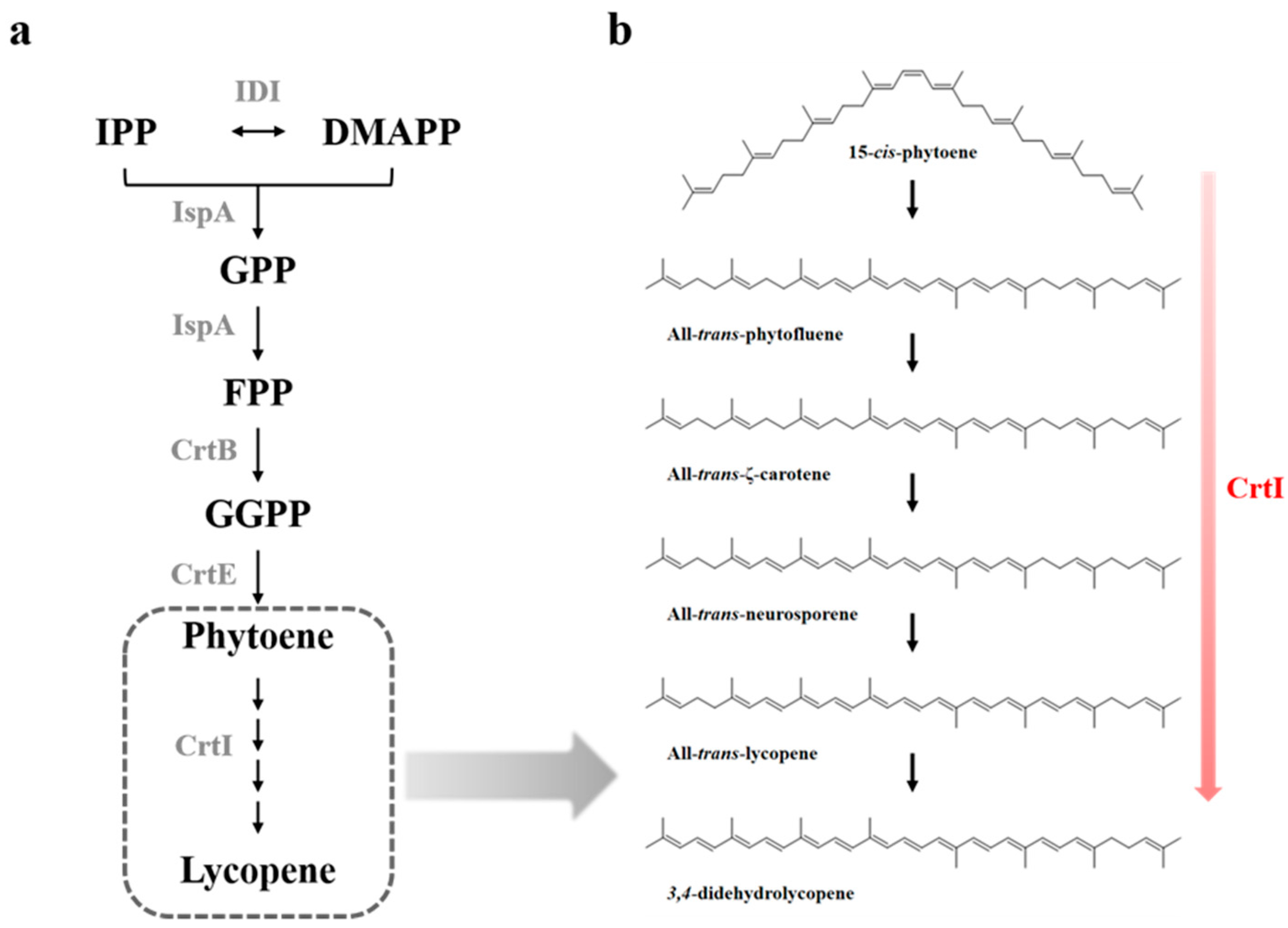 Catalysts 11 01248 g001 Catalysts 11 01248 g001