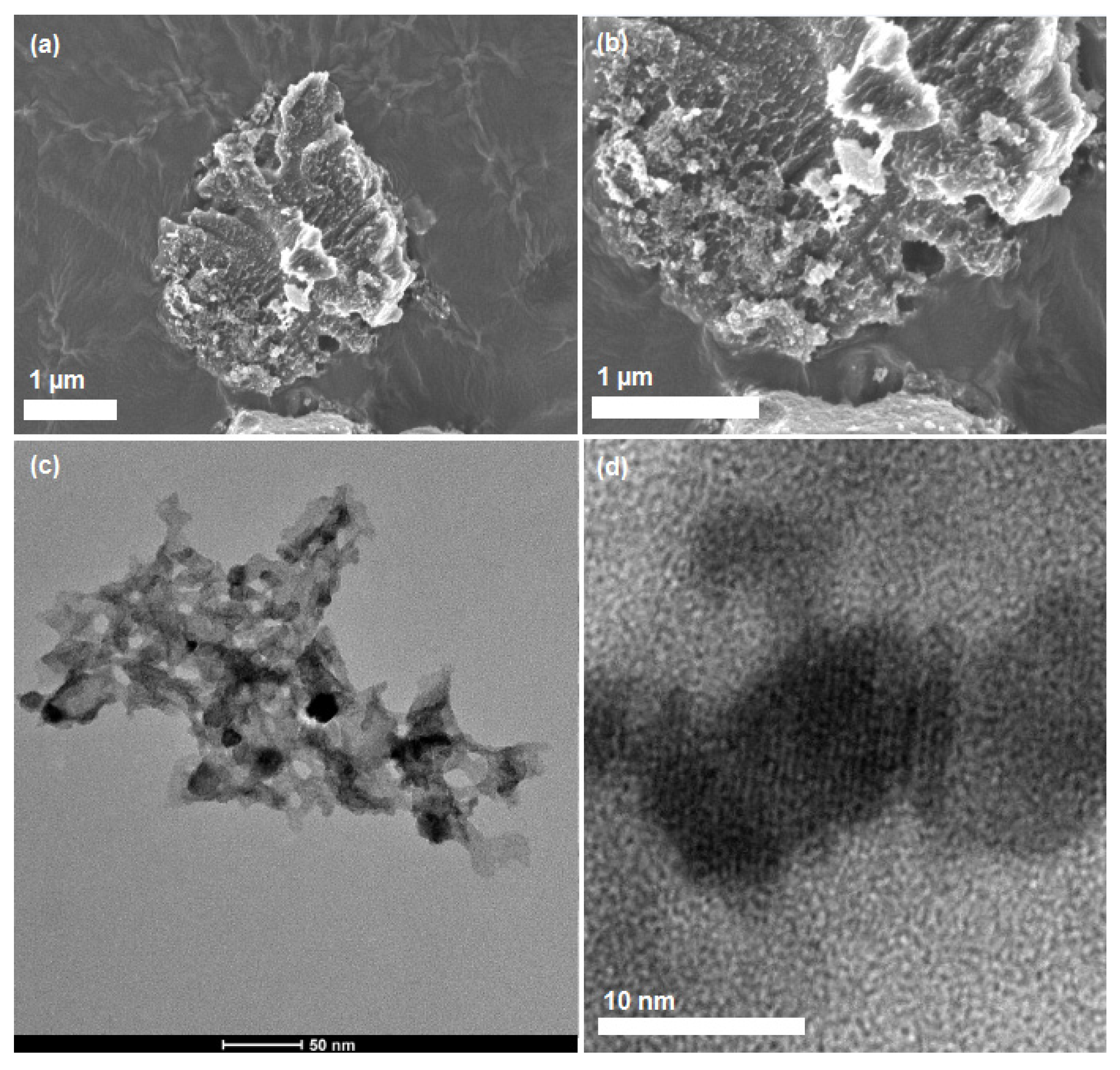 Catalysts 11 01253 g001
