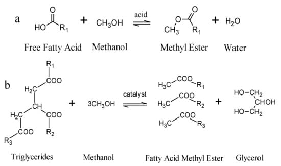 Catalysts | Free Full-Text | A Short Review on Catalyst, Feedstock ...