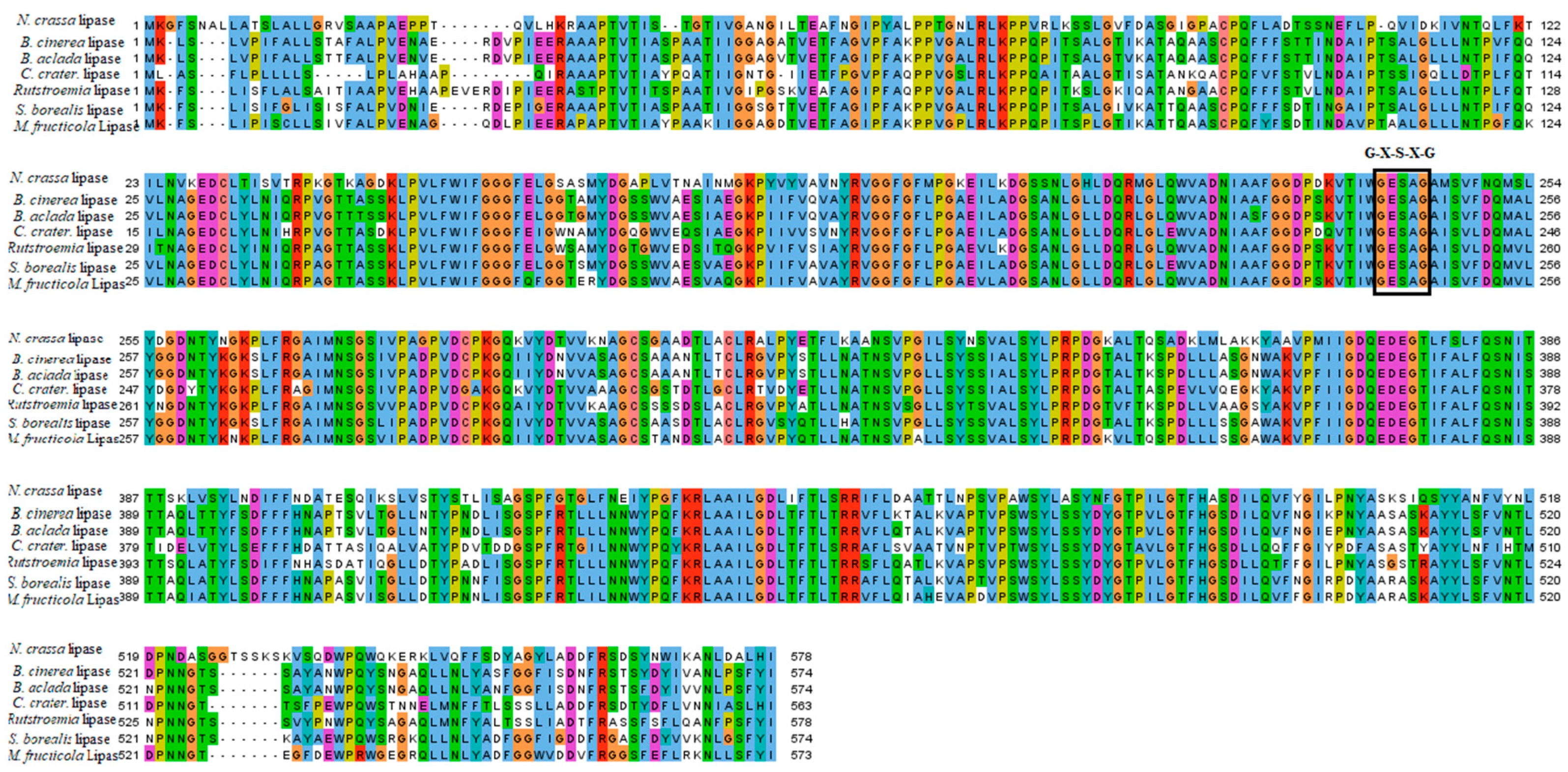 Catalysts 11 01319 g001