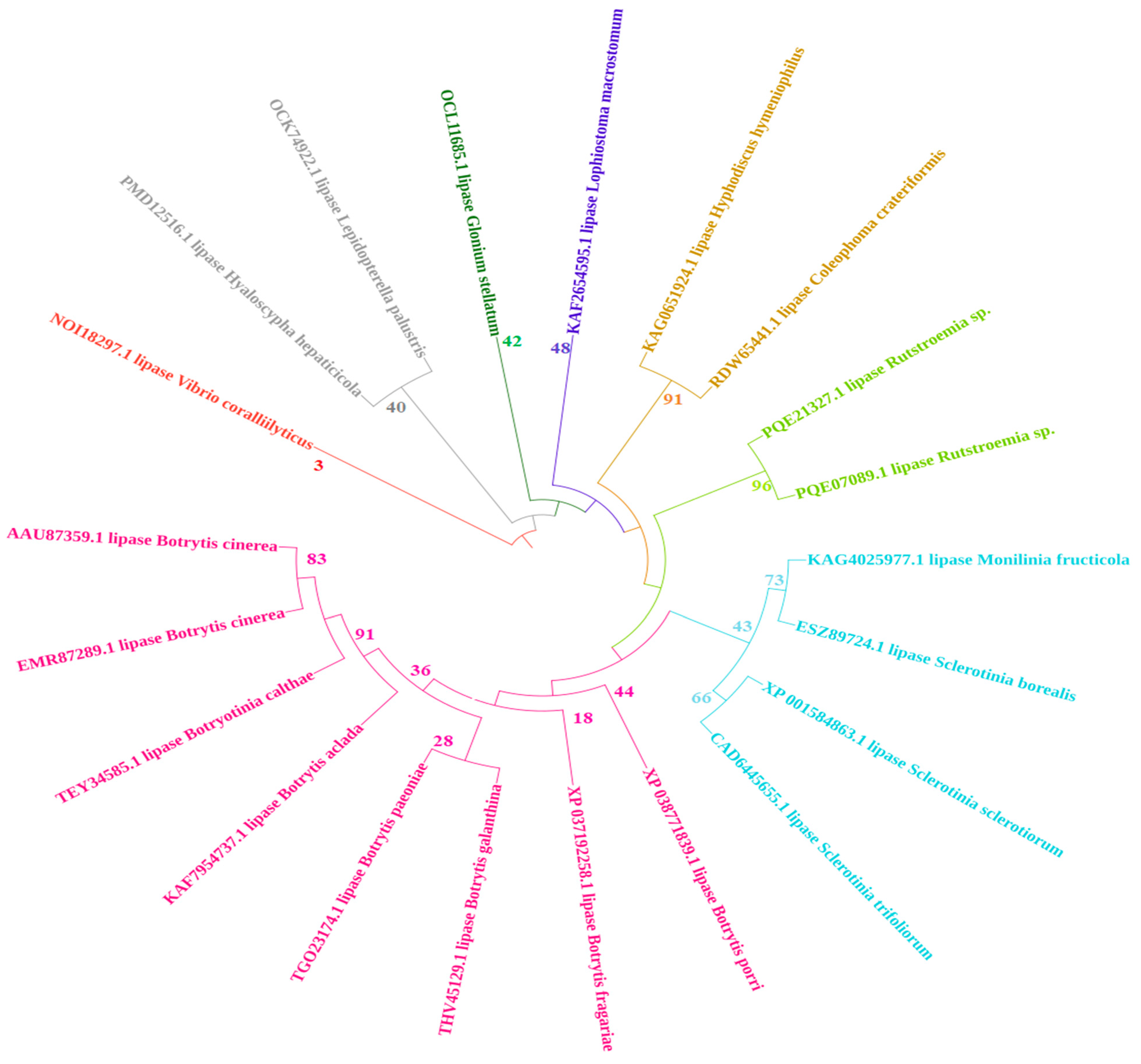 Catalysts 11 01319 g002