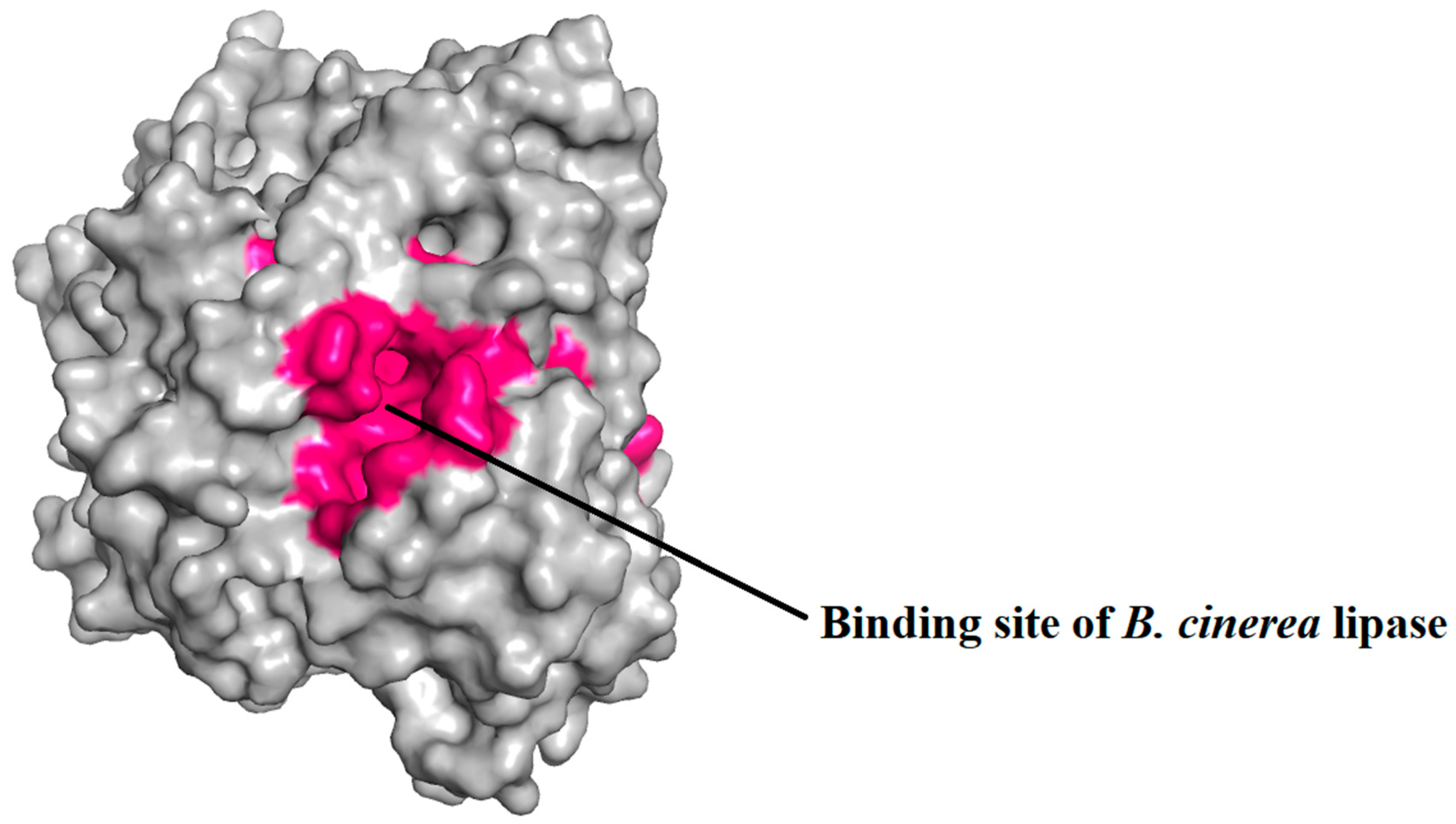 Catalysts 11 01319 g008