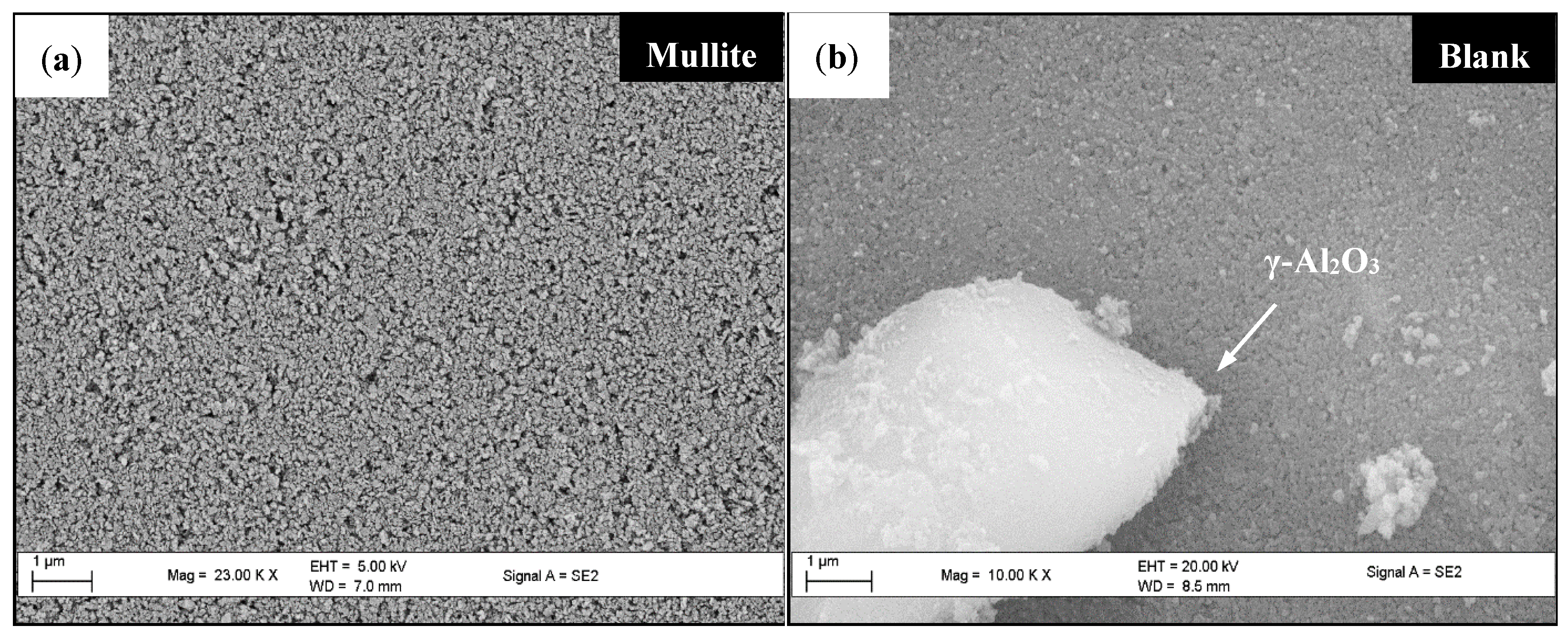 Catalysts 11 01324 g016