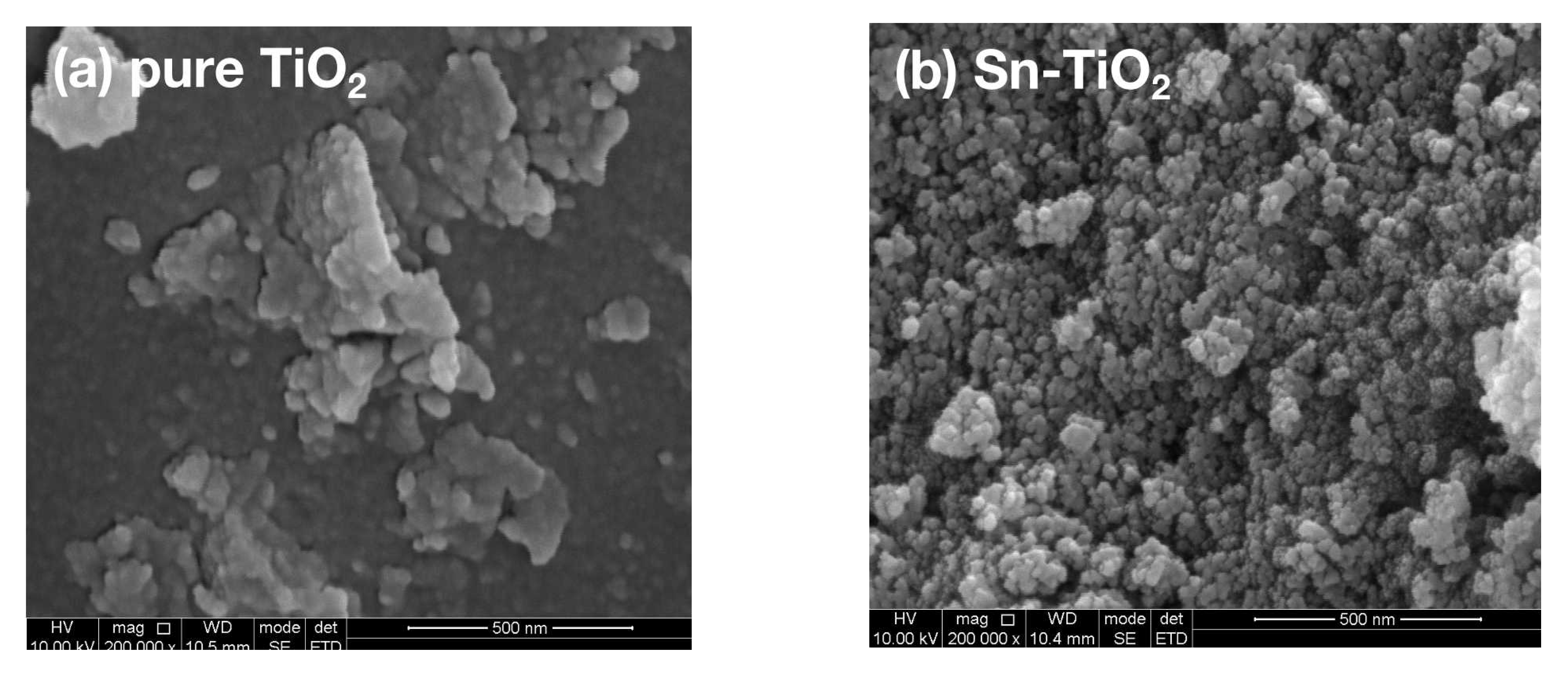 Catalysts 11 01341 g002a