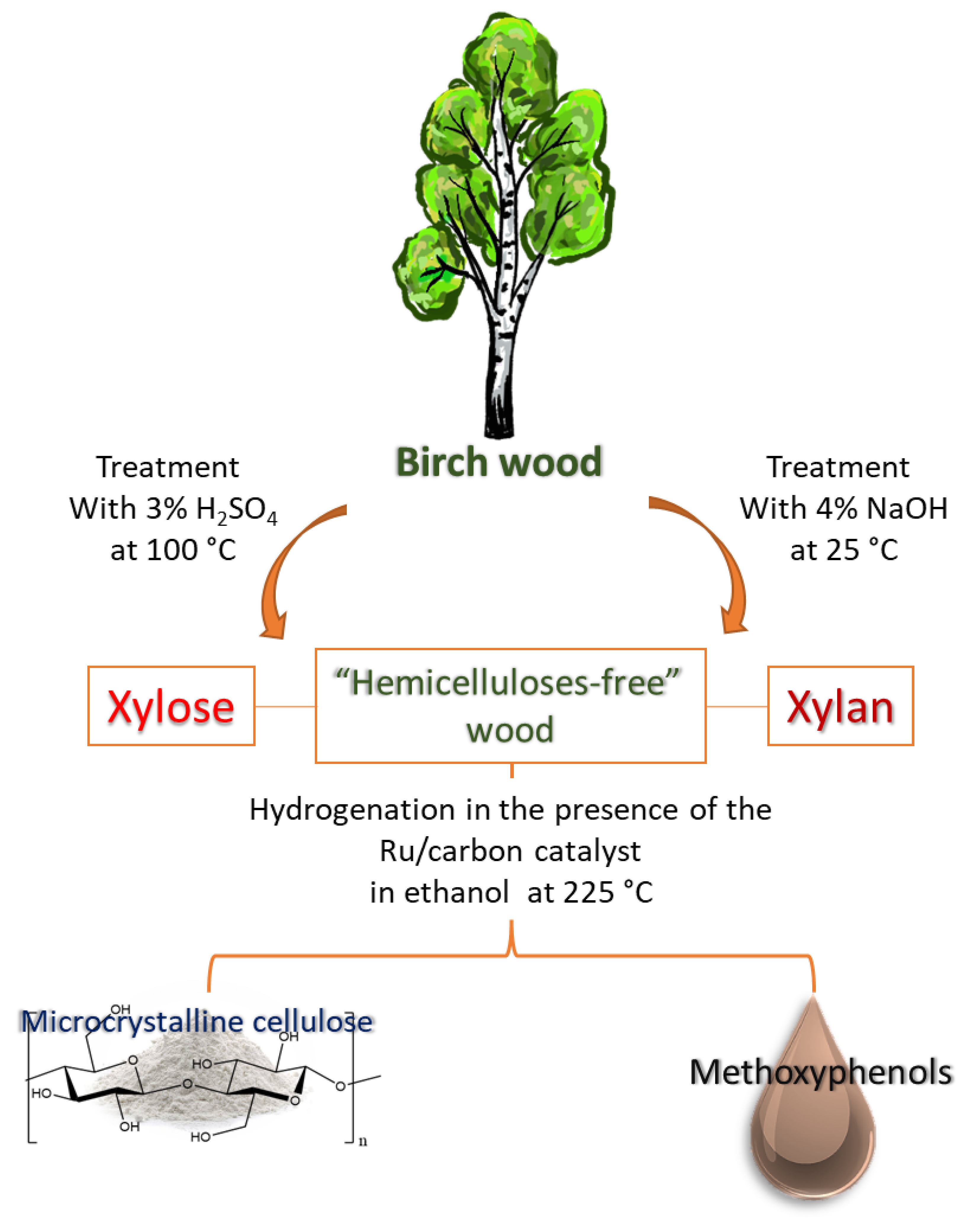 Birch Wood, Overview, Types & Uses - Video & Lesson Transcript