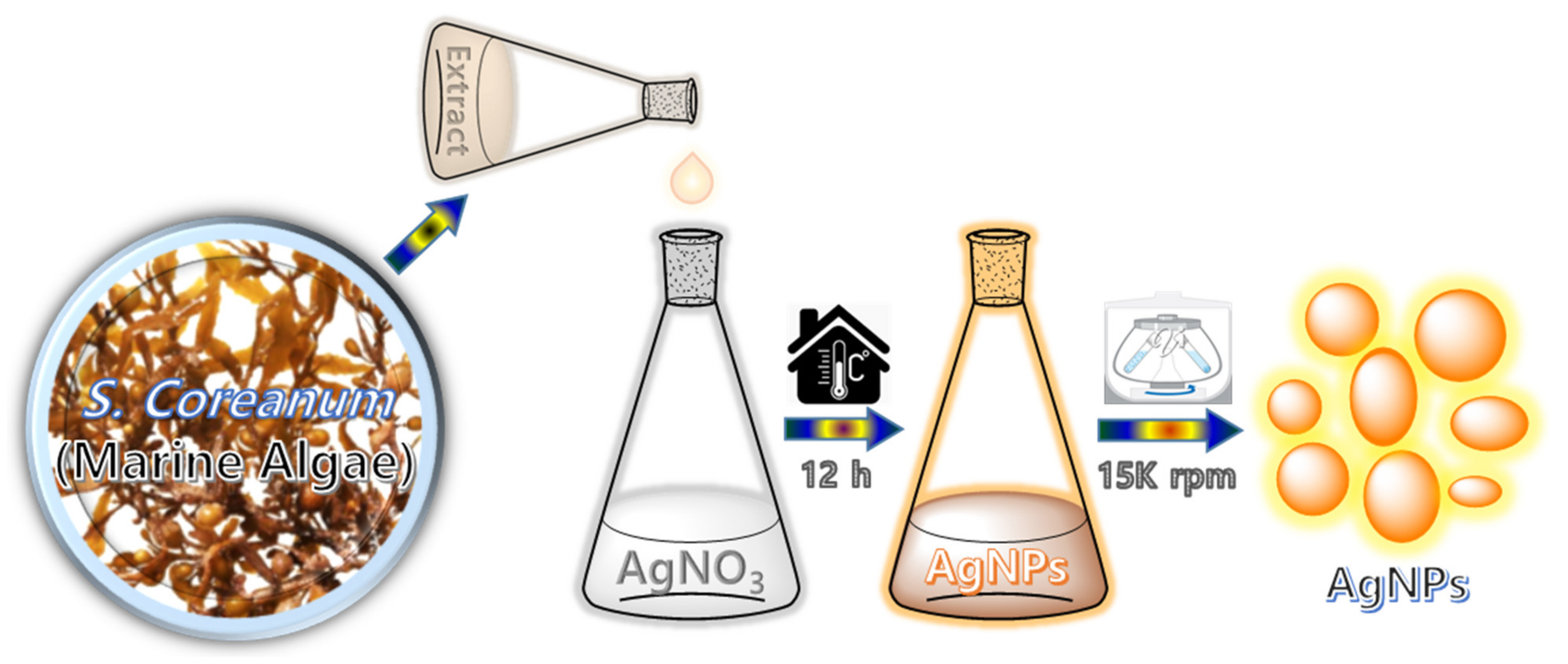 Catalysts 11 01377 sch001