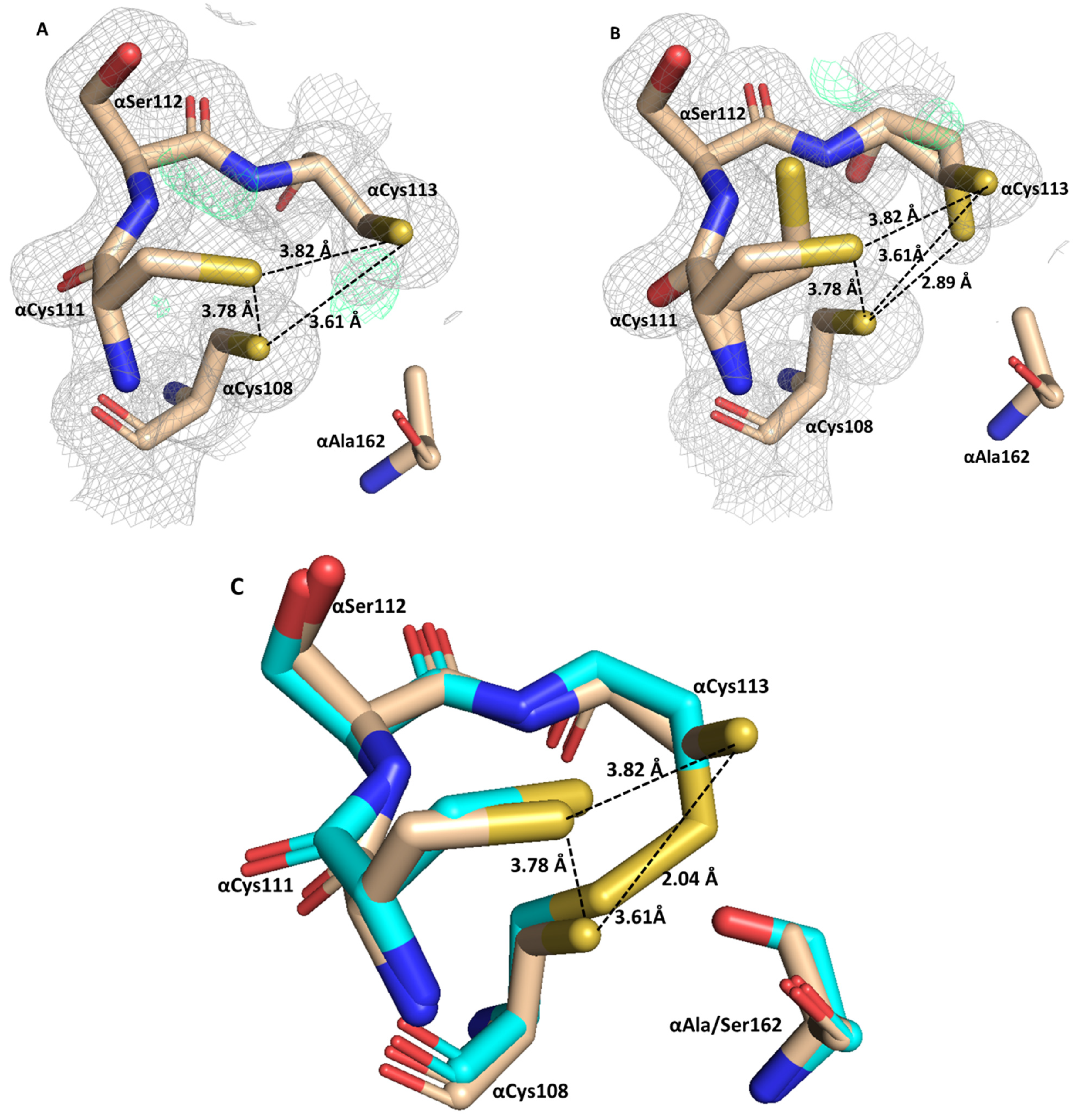 Catalysts 11 01381 g005