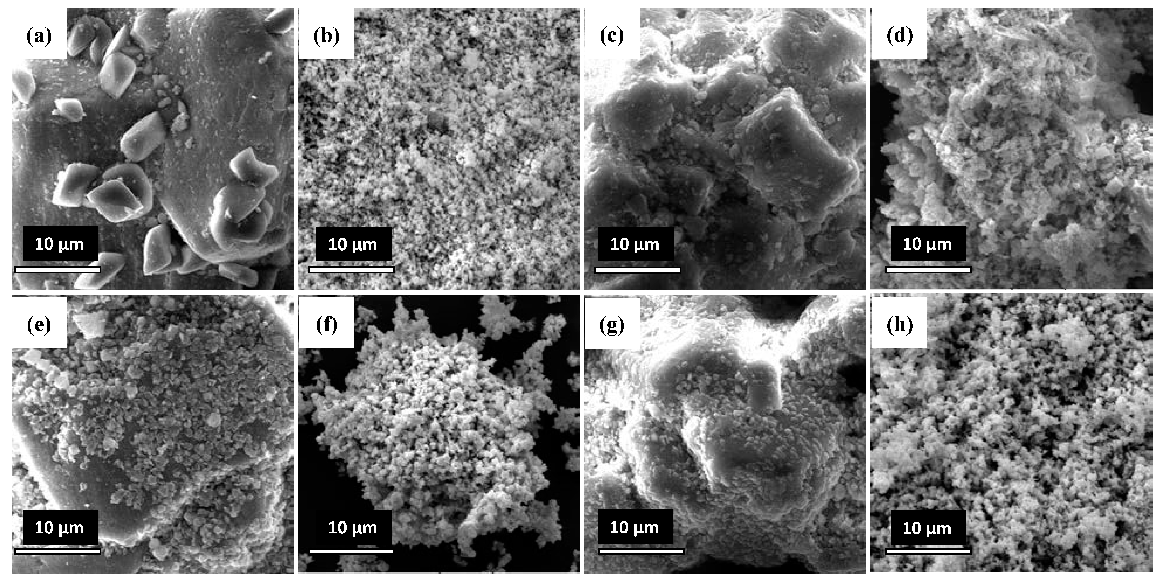 Catalysts 11 01398 g007 Catalysts 11 01398 g007