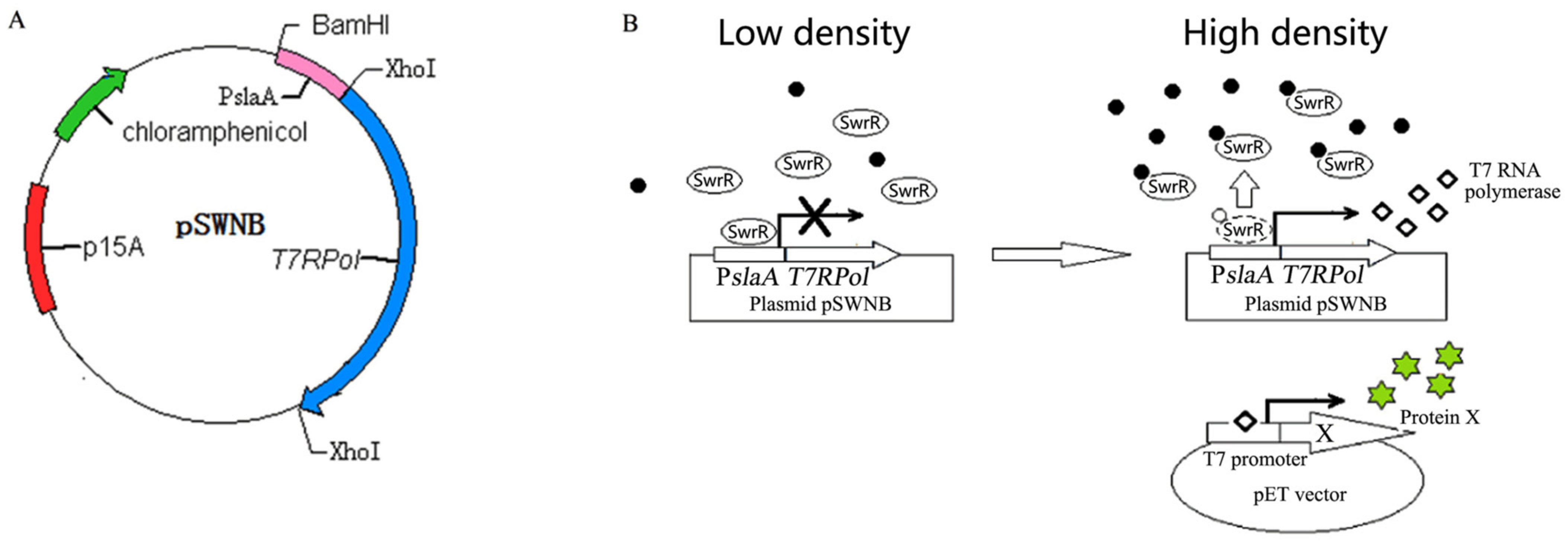 Catalysts 11 01422 g002